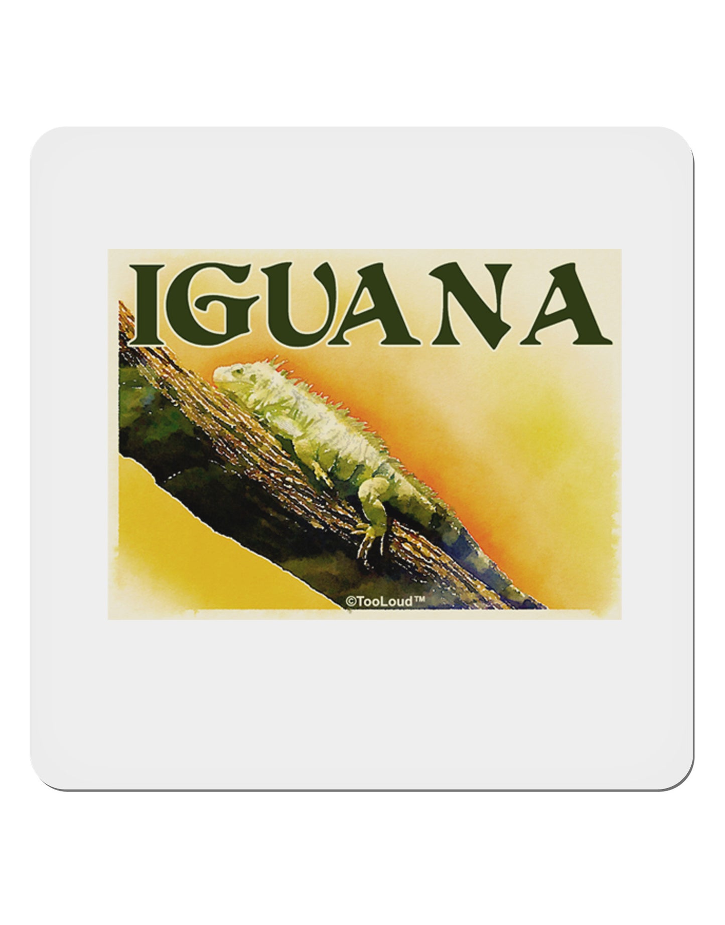 Iguana Watercolor Text 4x4" Square Sticker 4 Pieces-Stickers-TooLoud-White-Davson Sales