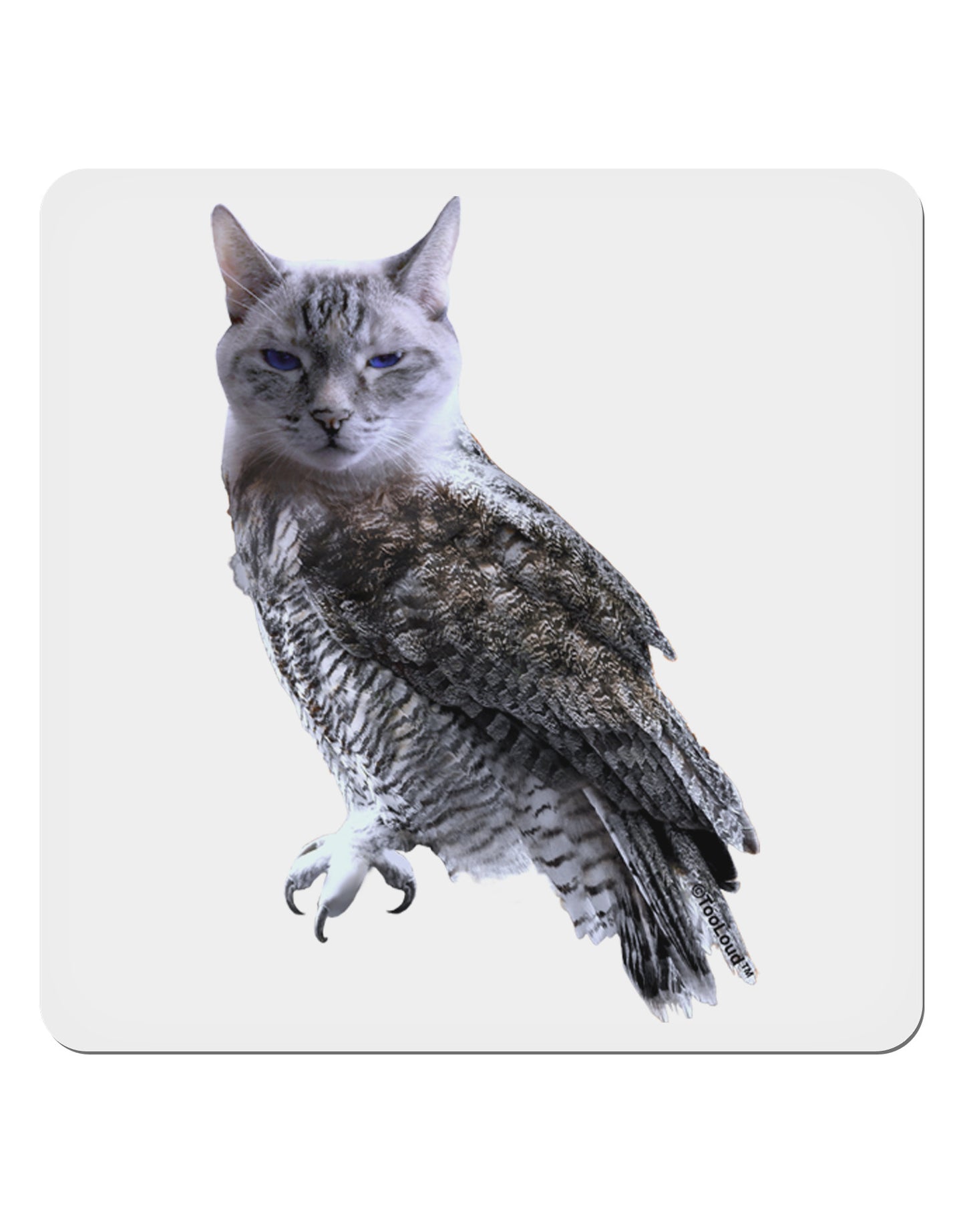 Lucky Cat Owl 4x4" Square Sticker-Stickers-TooLoud-1-Davson Sales