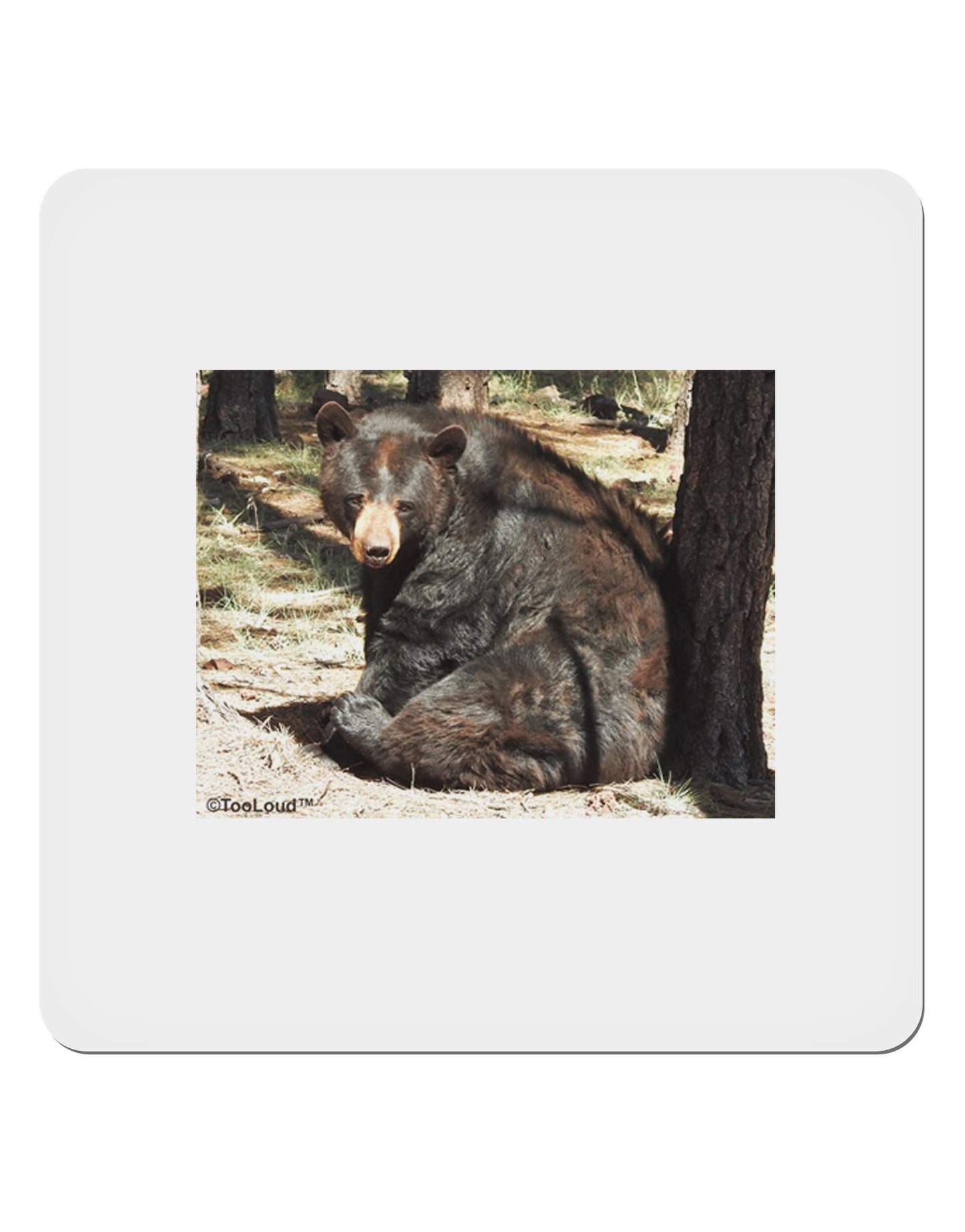 Sad Black Bear 4x4" Square Sticker-Stickers-TooLoud-1-Davson Sales