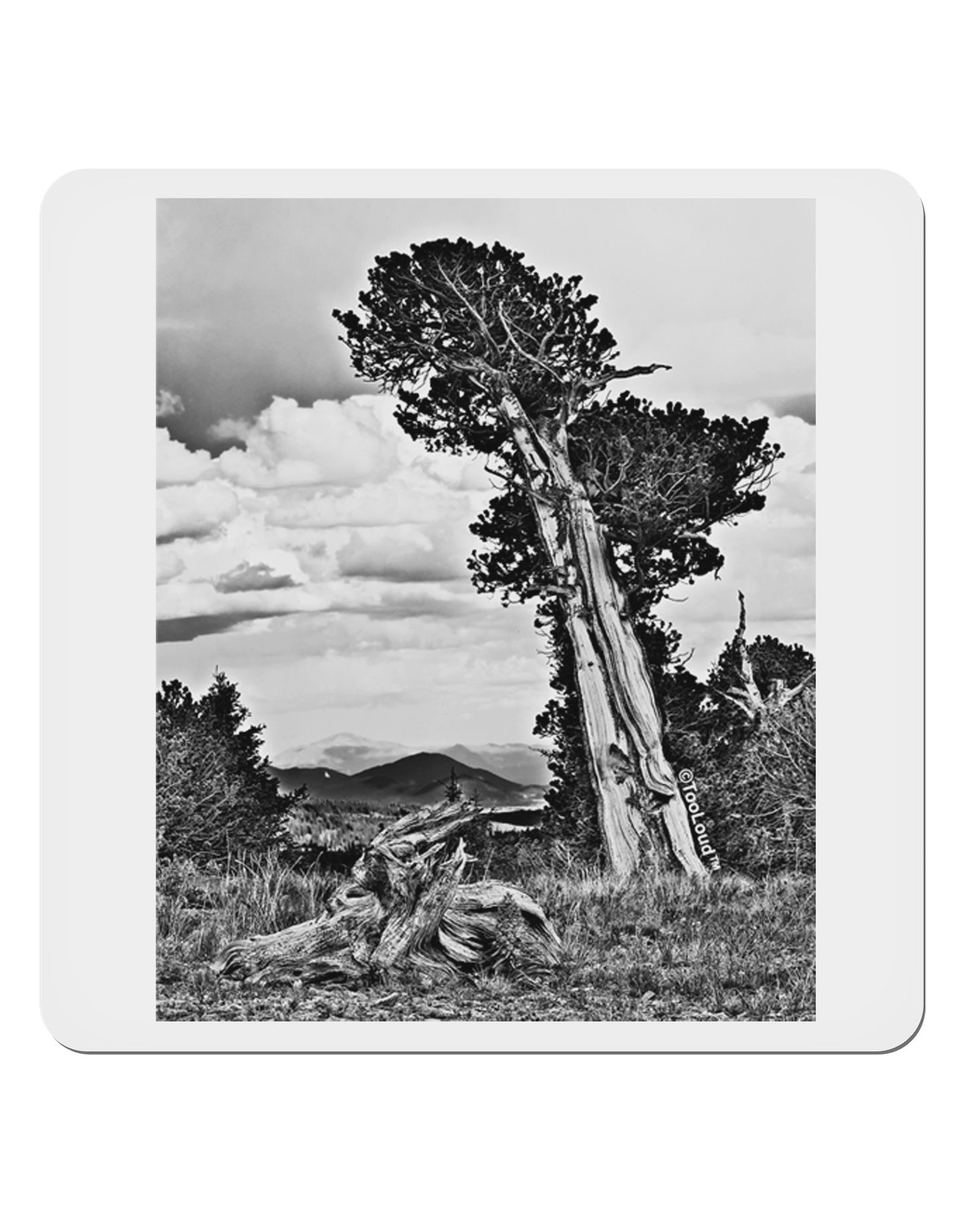Colorado Landscape Monochrome 4x4" Square Sticker-Stickers-TooLoud-1 Piece-Davson Sales
