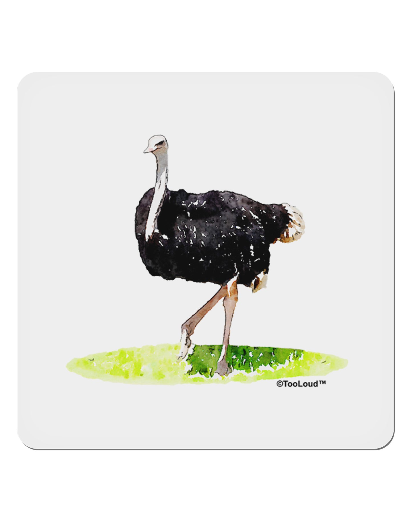 Ostrich Watercolor 4x4" Square Sticker 4 Pieces-Stickers-TooLoud-White-Davson Sales