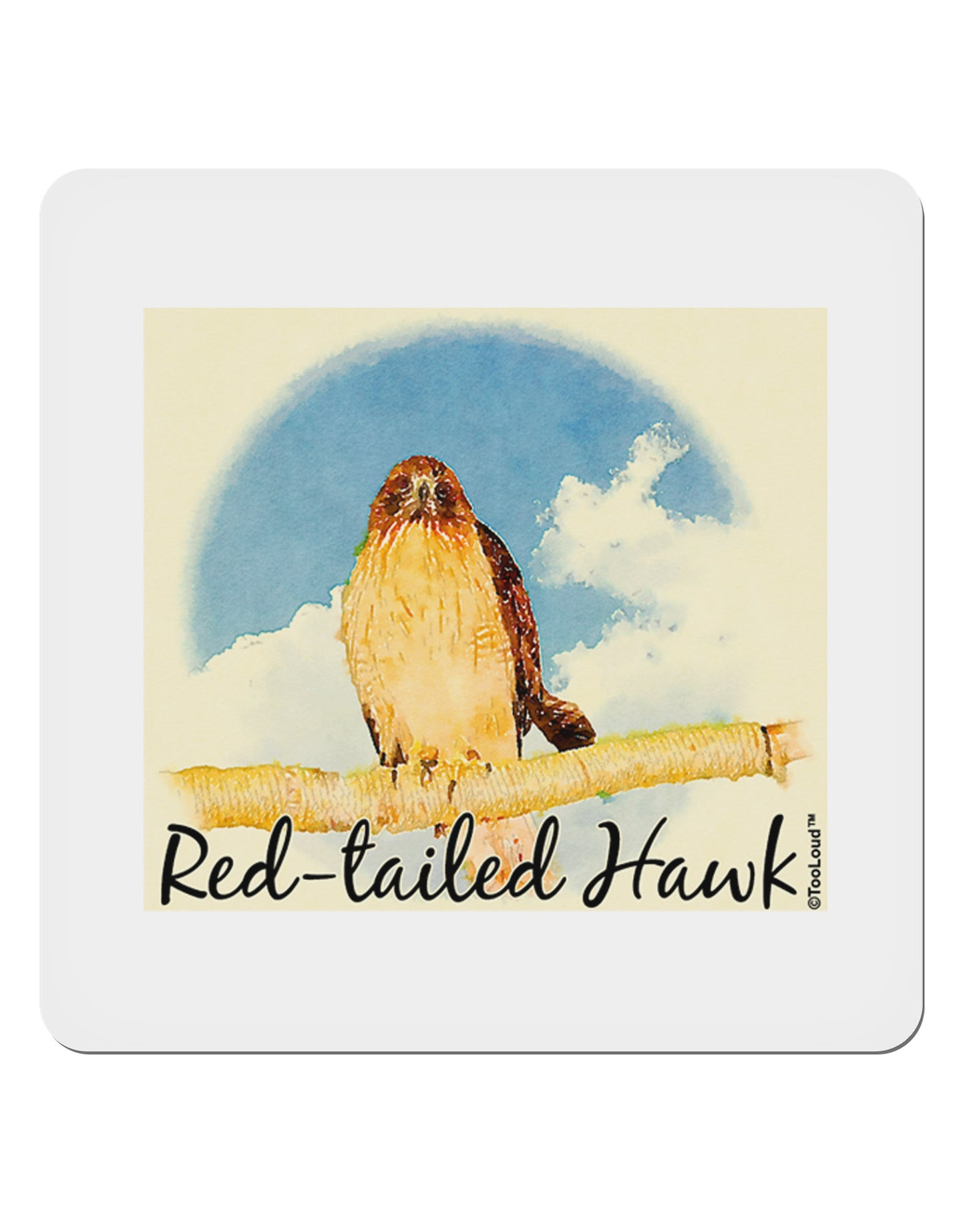 Red-tailed Hawk Text 4x4" Square Sticker 4 Pieces-Stickers-TooLoud-White-Davson Sales