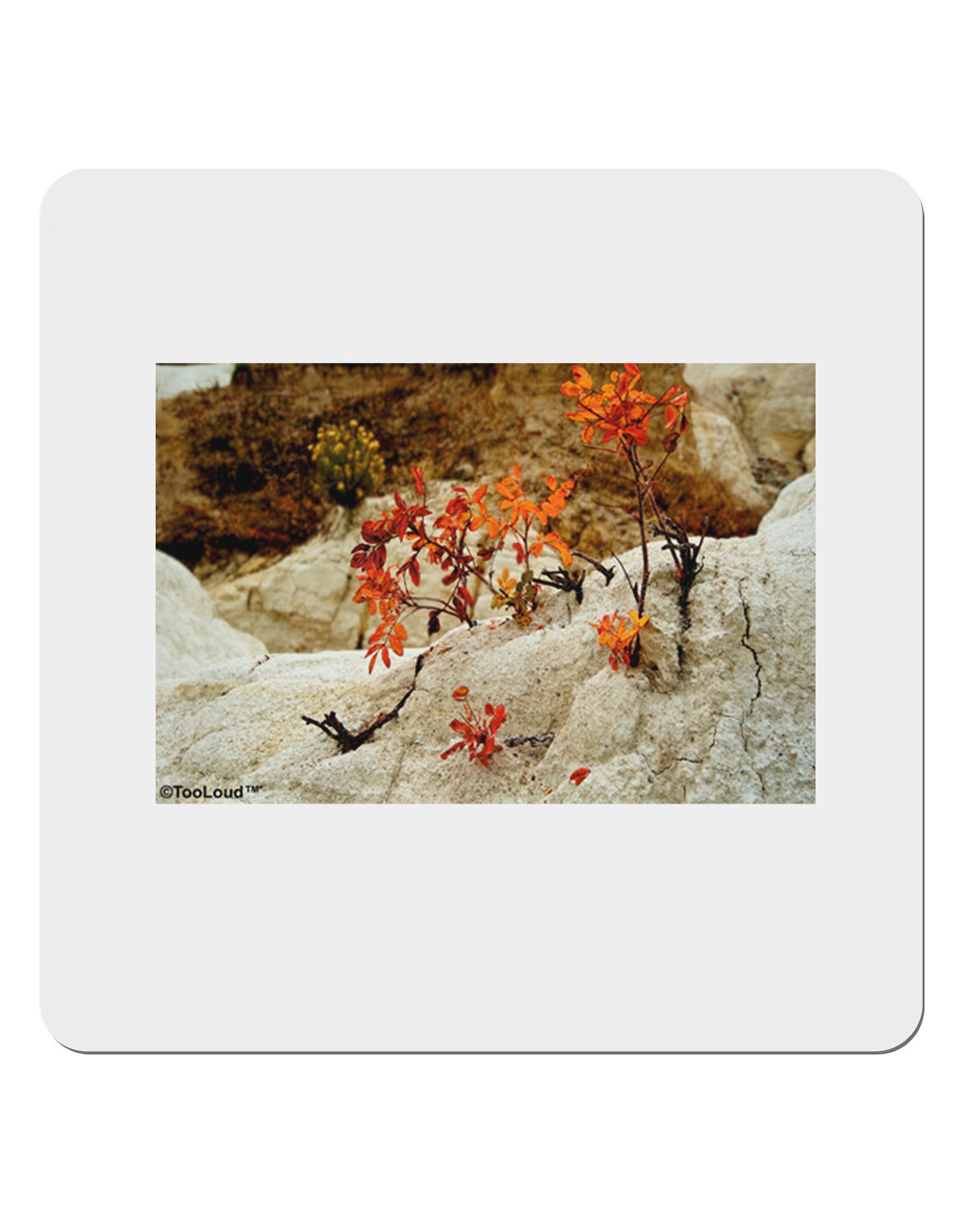 CO Painted Mines 4x4" Square Sticker-Stickers-TooLoud-1-Davson Sales