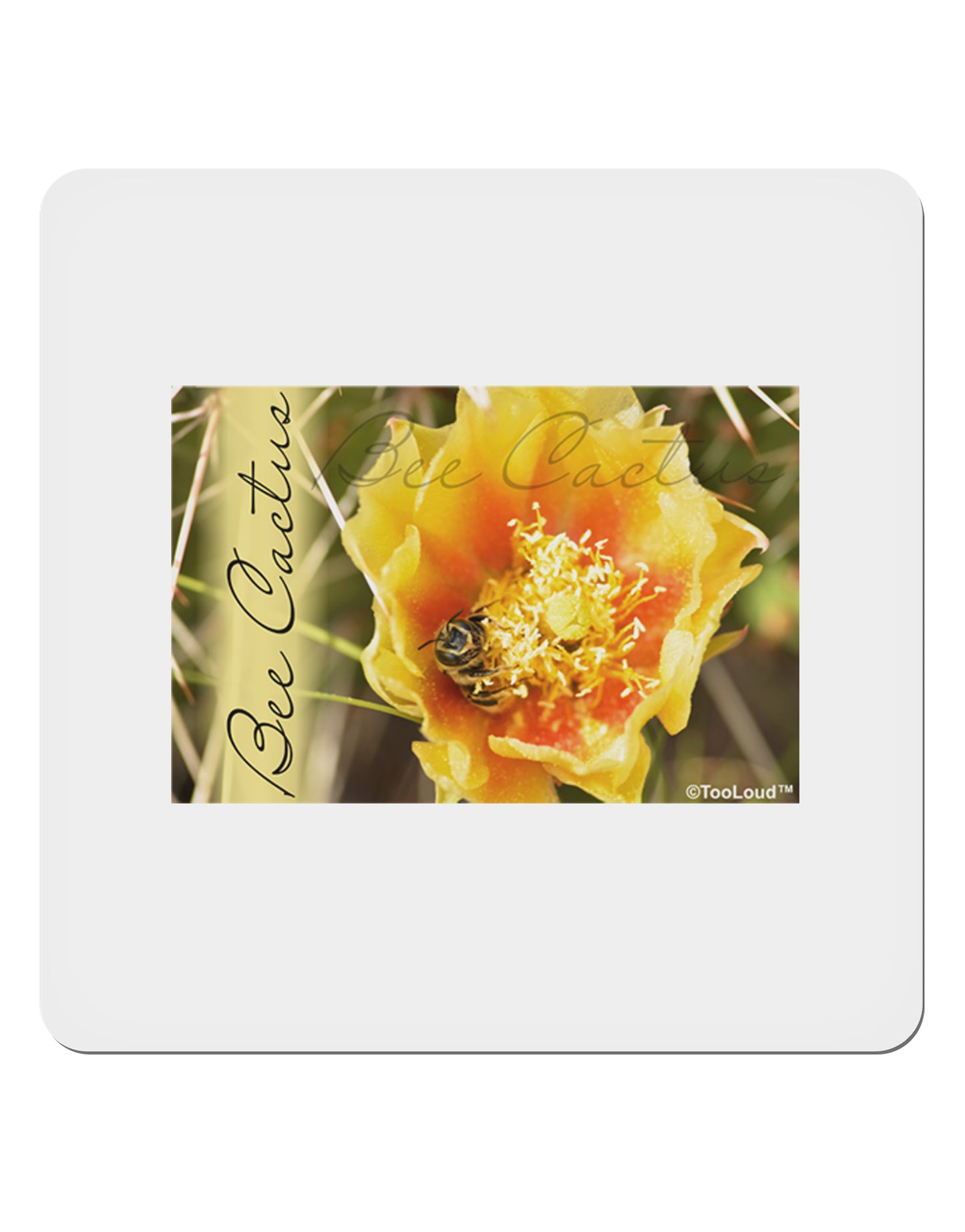 Bee Cactus with Text 4x4" Square Sticker-Stickers-TooLoud-1-Davson Sales