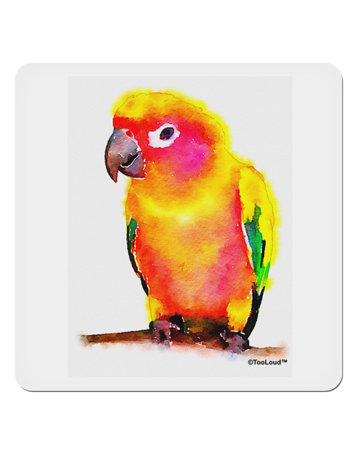Sun Conure Parrot Watercolor 4x4" Square Sticker 4 Pieces-Stickers-TooLoud-White-Davson Sales