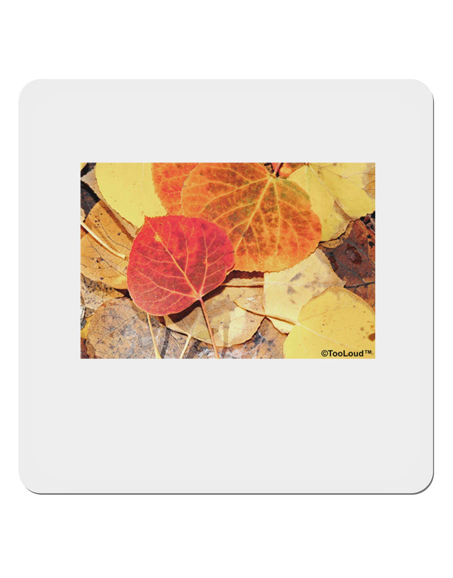 Colorado - Autumn 4x4" Square Sticker-Stickers-TooLoud-1-Davson Sales