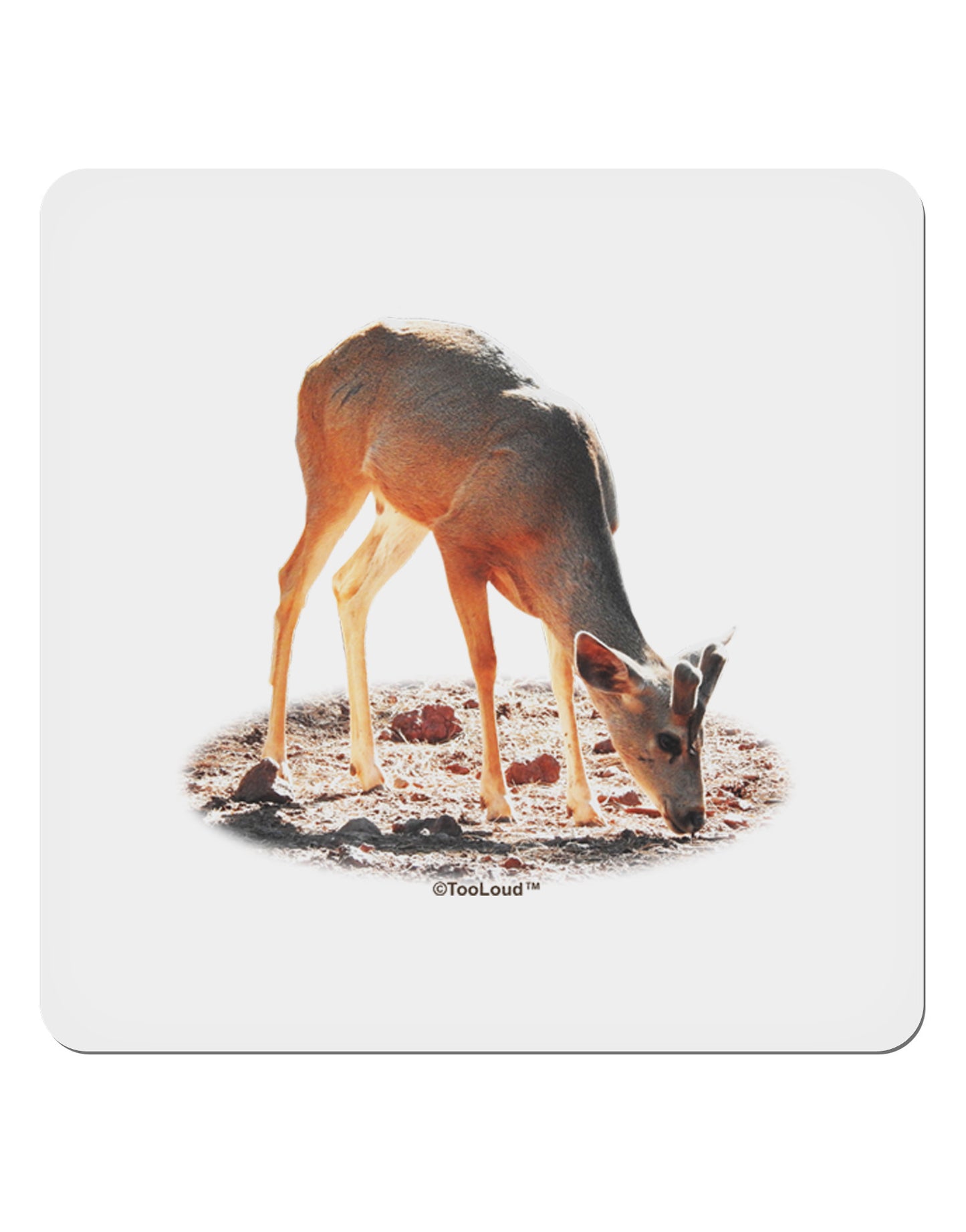 Little Buck Cutout 4x4" Square Sticker-Stickers-TooLoud-1-Davson Sales