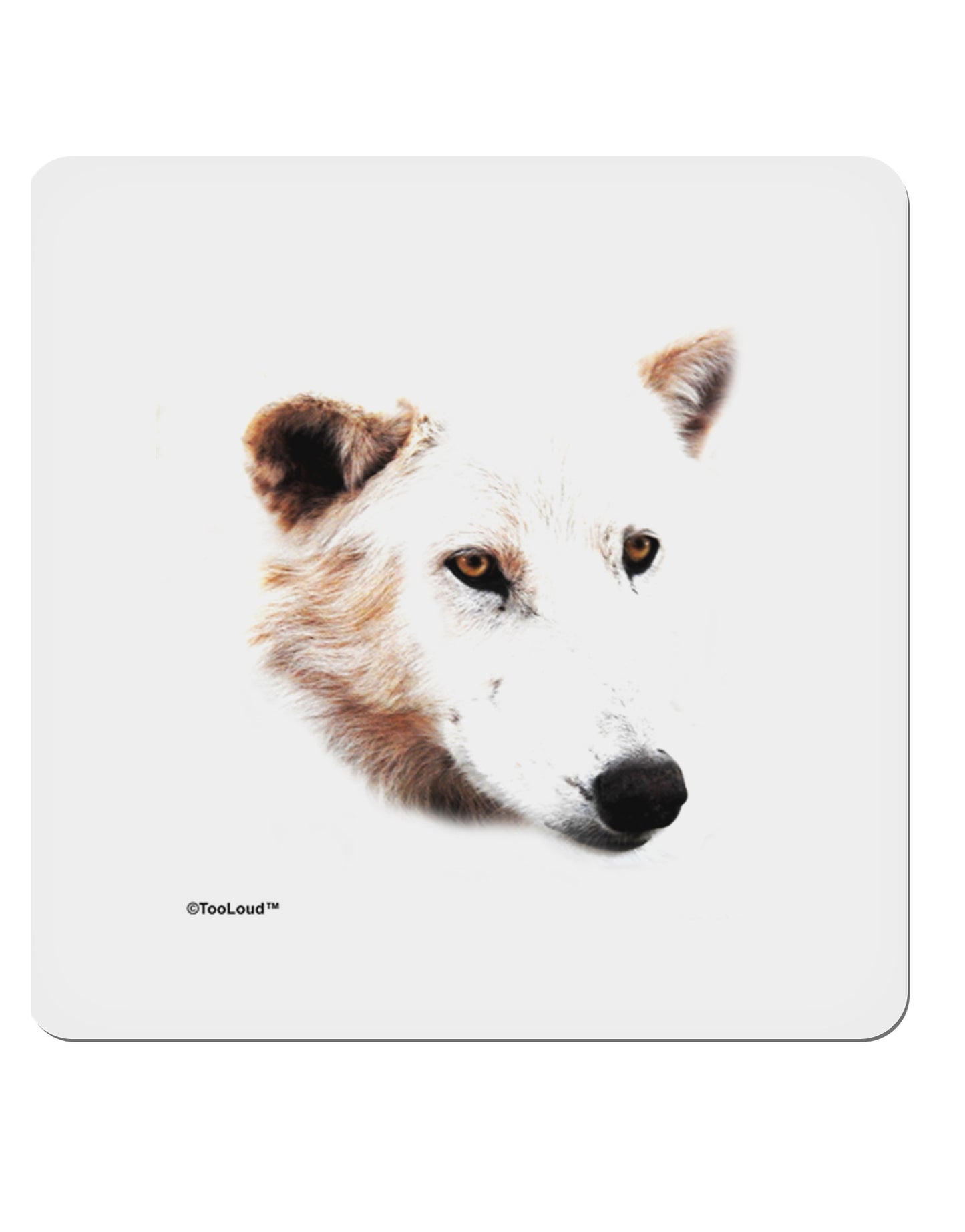 White Wolf Head Cutout 4x4" Square Sticker-Stickers-TooLoud-1-Davson Sales