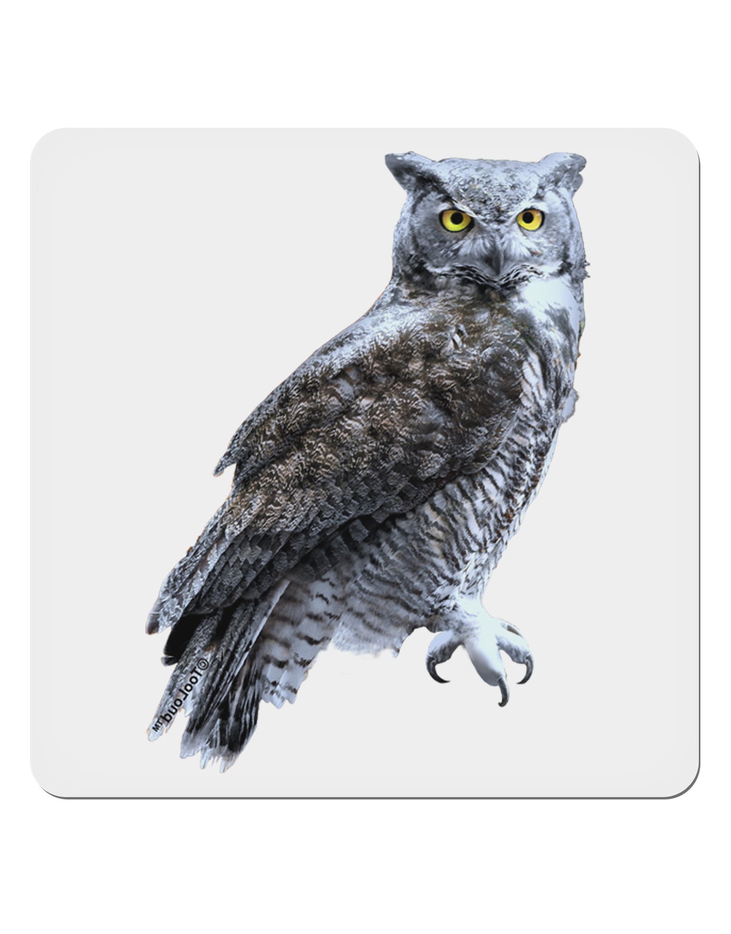 Great Horned Owl Photo 4x4" Square Sticker-Stickers-TooLoud-1-Davson Sales