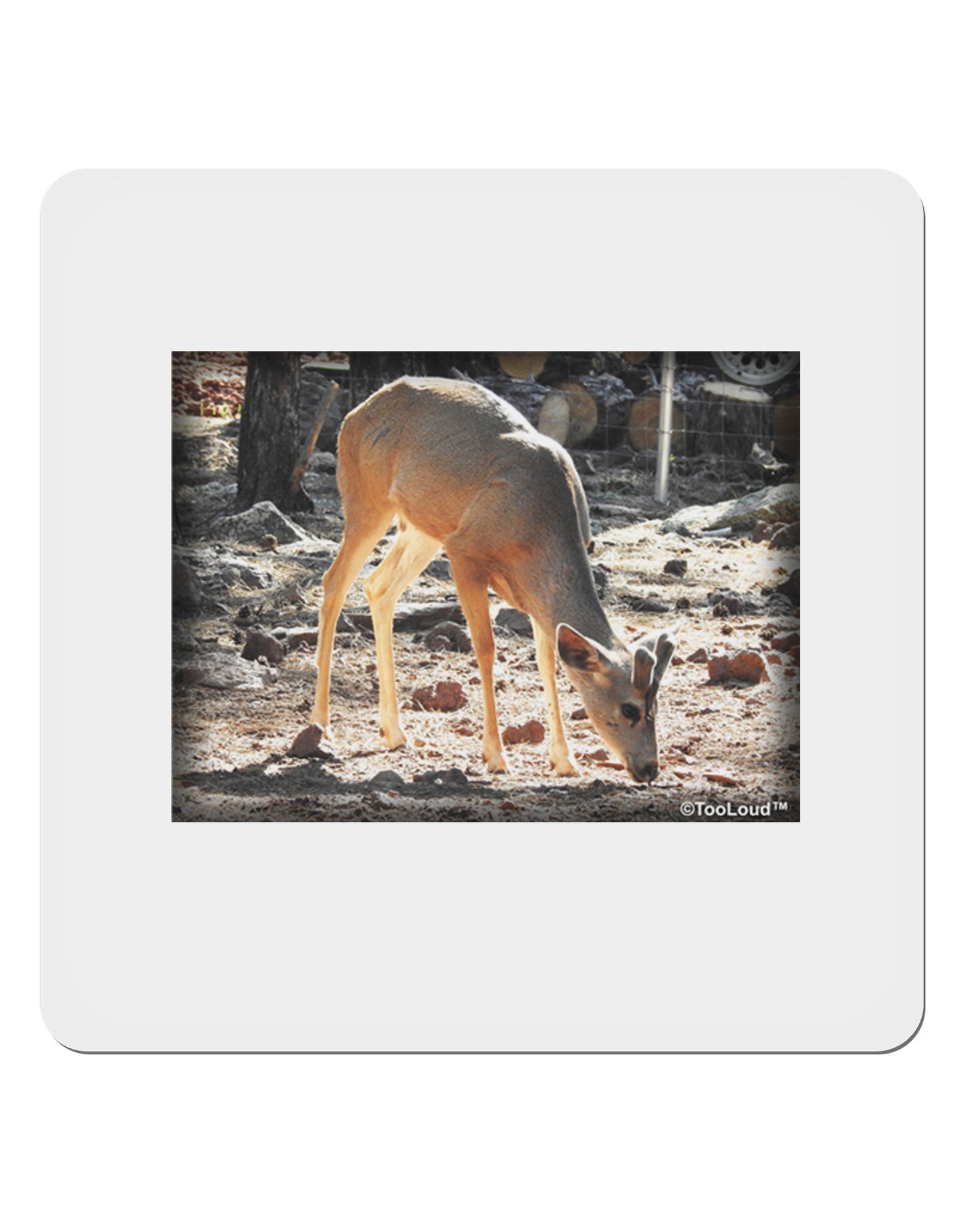 Little Buck 4x4" Square Sticker-Stickers-TooLoud-1-Davson Sales