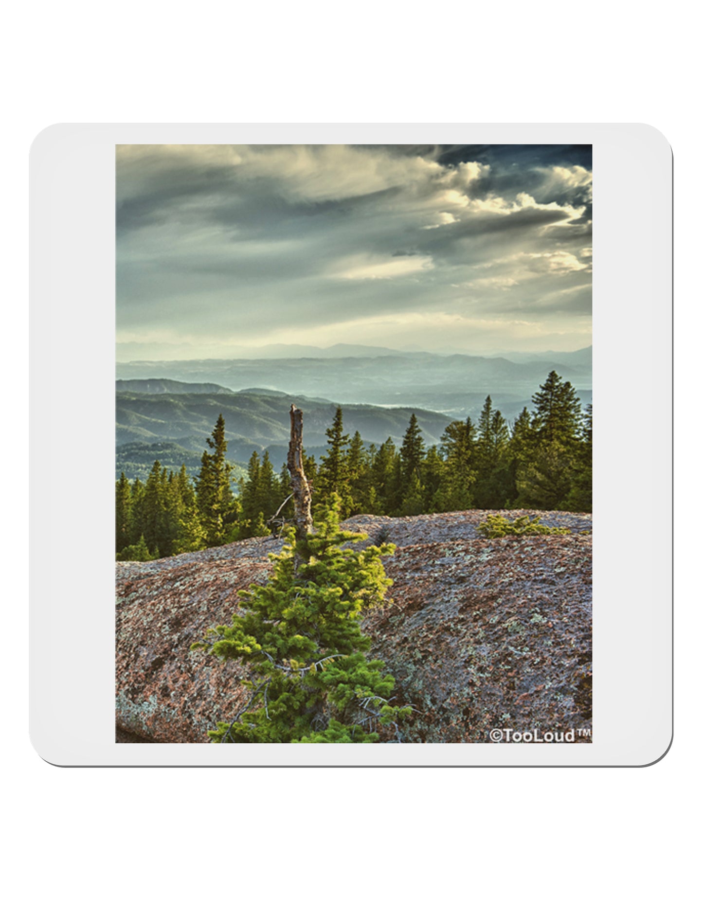 Nature Photography - Pine Kingdom 4x4" Square Sticker-Stickers-TooLoud-1-Davson Sales