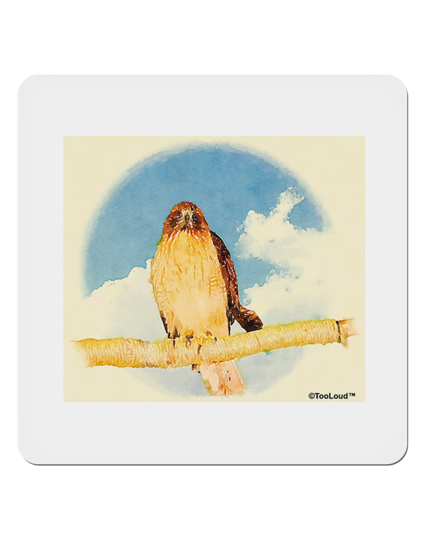 Red-tailed Hawk 4x4" Square Sticker 4 Pieces-Stickers-TooLoud-White-Davson Sales