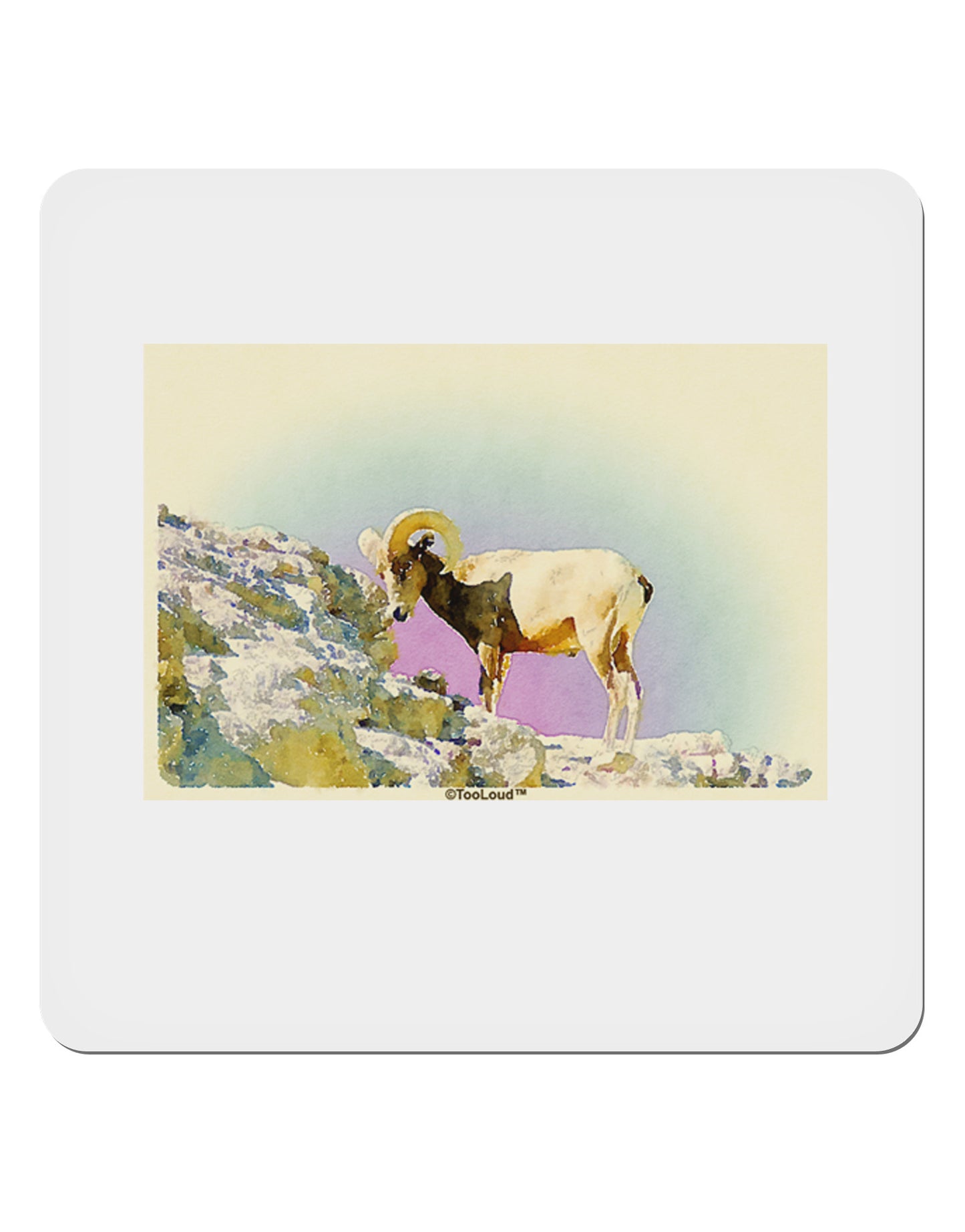Bighorn Ram Watercolor 4x4" Square Sticker 4 Pieces-Stickers-TooLoud-White-Davson Sales