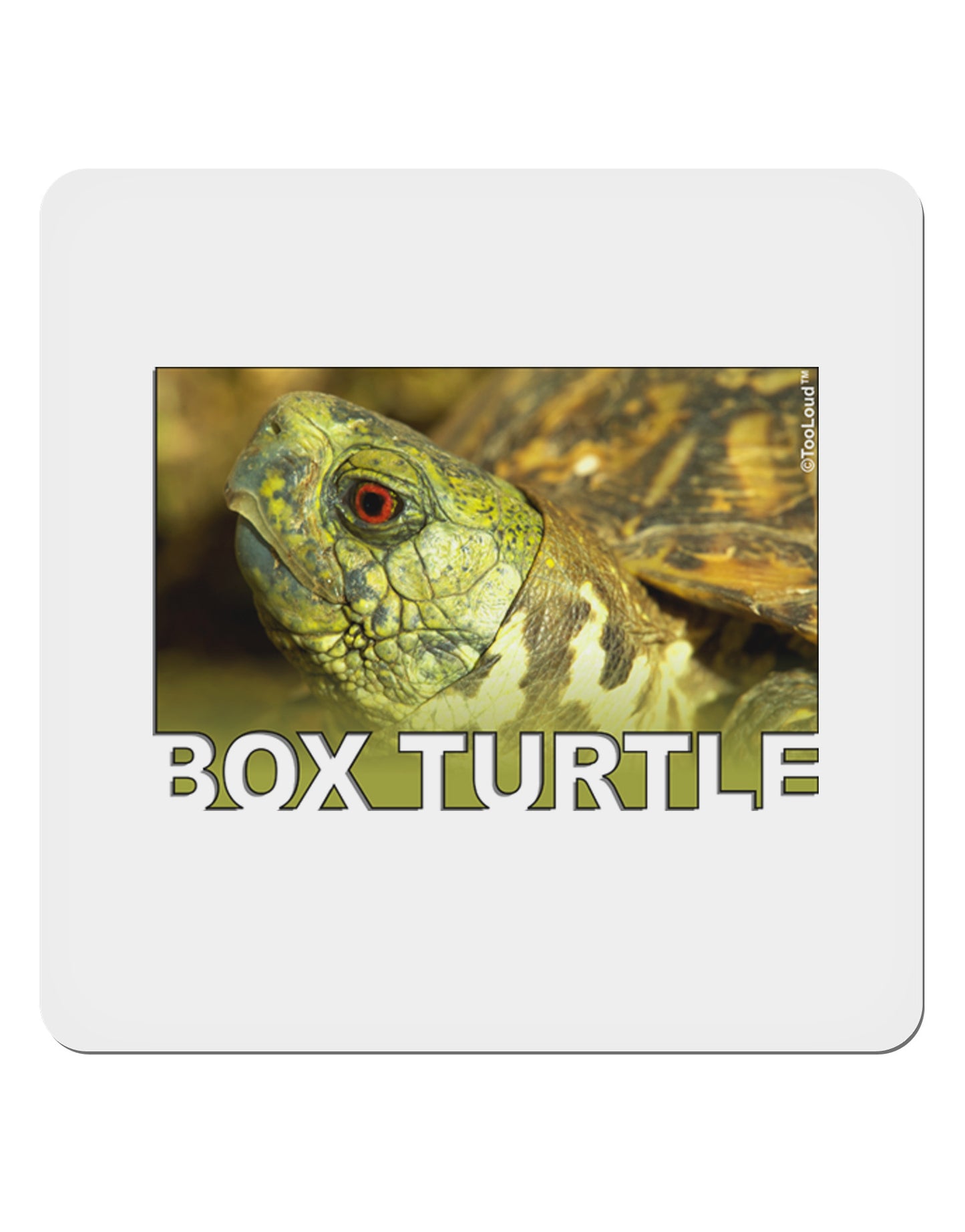 Menacing Turtle with Text 4x4" Square Sticker-Stickers-TooLoud-1-Davson Sales