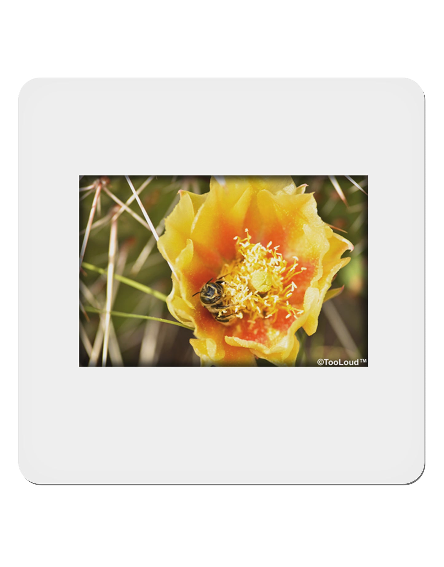 Bee Cactus 4x4" Square Sticker-Stickers-TooLoud-1-Davson Sales