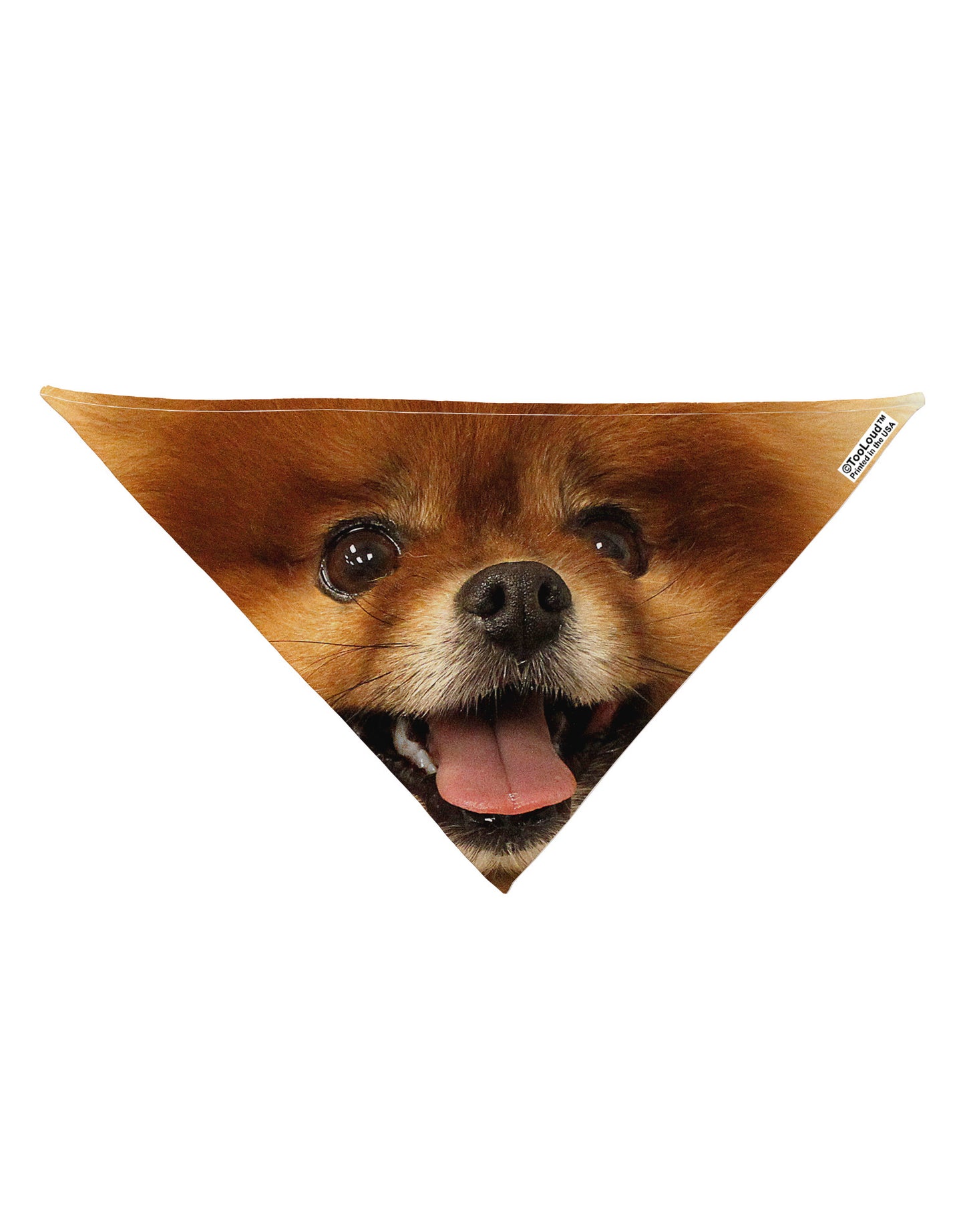 Adorable Red Pomeranian Dog Bandana 26" All Over Print-Dog Bandana-TooLoud-White-One-Size-Fits-Most-Davson Sales
