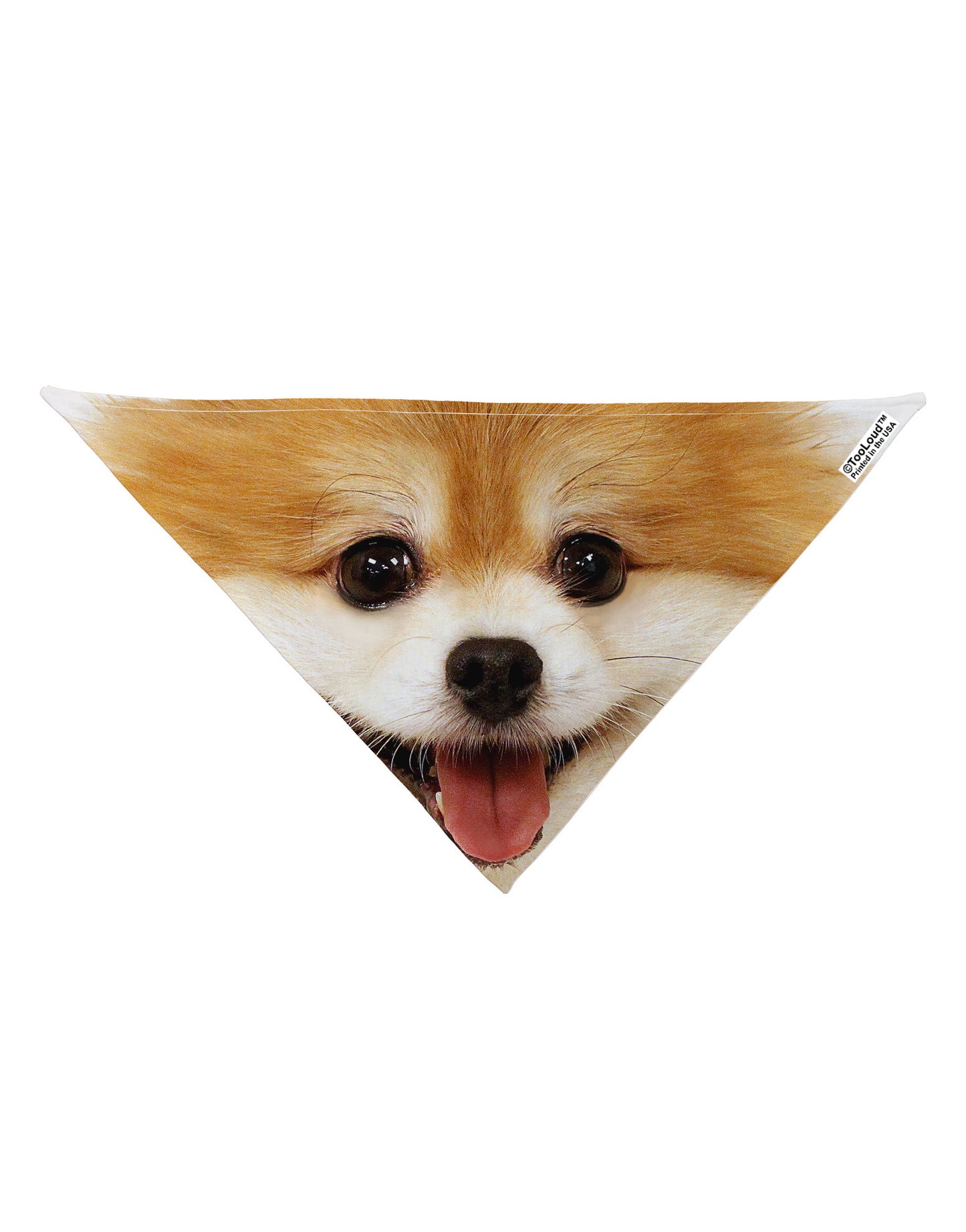 Adorable Pomeranian 1 Dog Bandana 26" All Over Print-Dog Bandana-TooLoud-White-One-Size-Fits-Most-Davson Sales