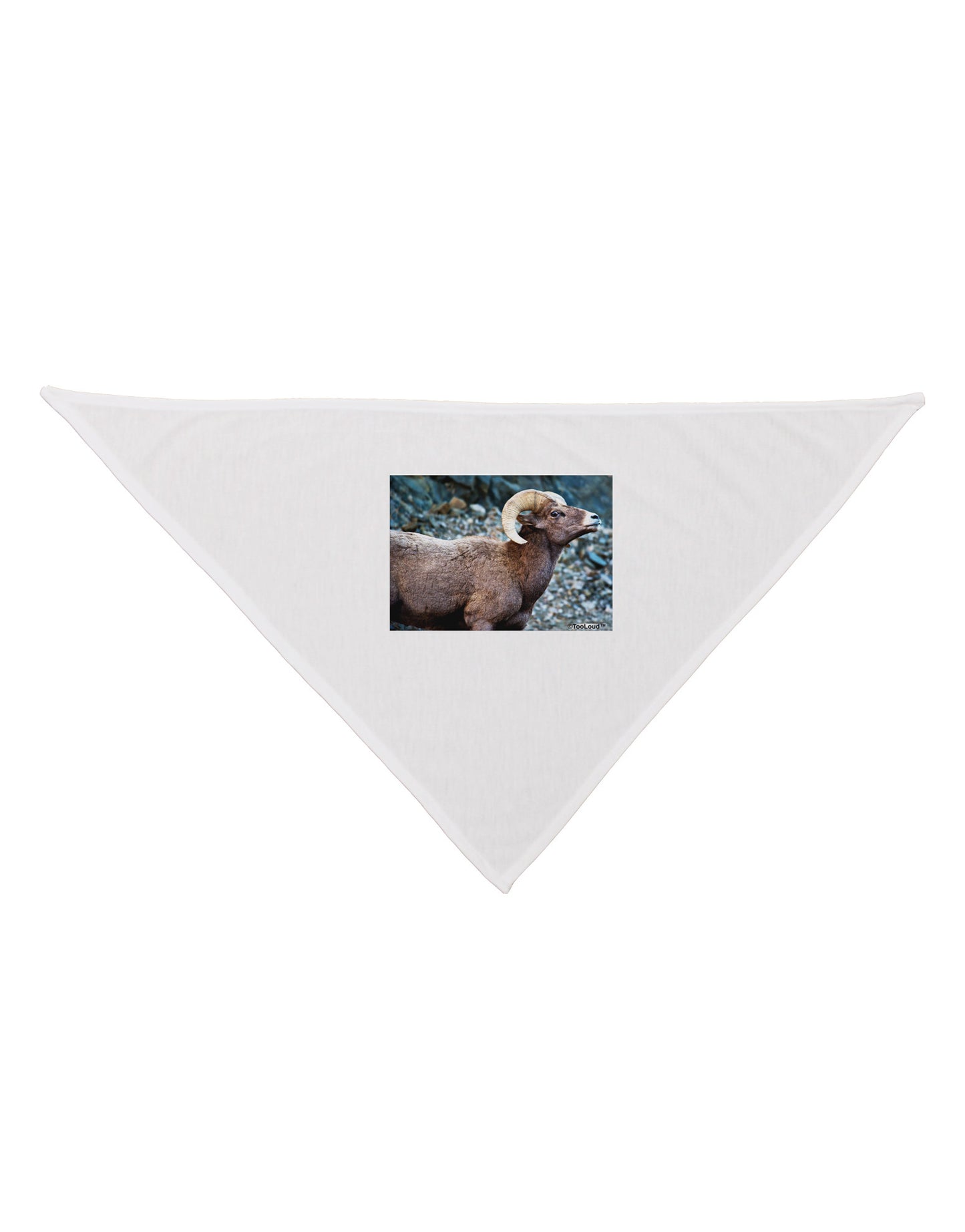 TooLoud Wide Eyed Big Horn Dog Bandana 26-Dog Bandana-TooLoud-White-One-Size-Fits-Most-Davson Sales