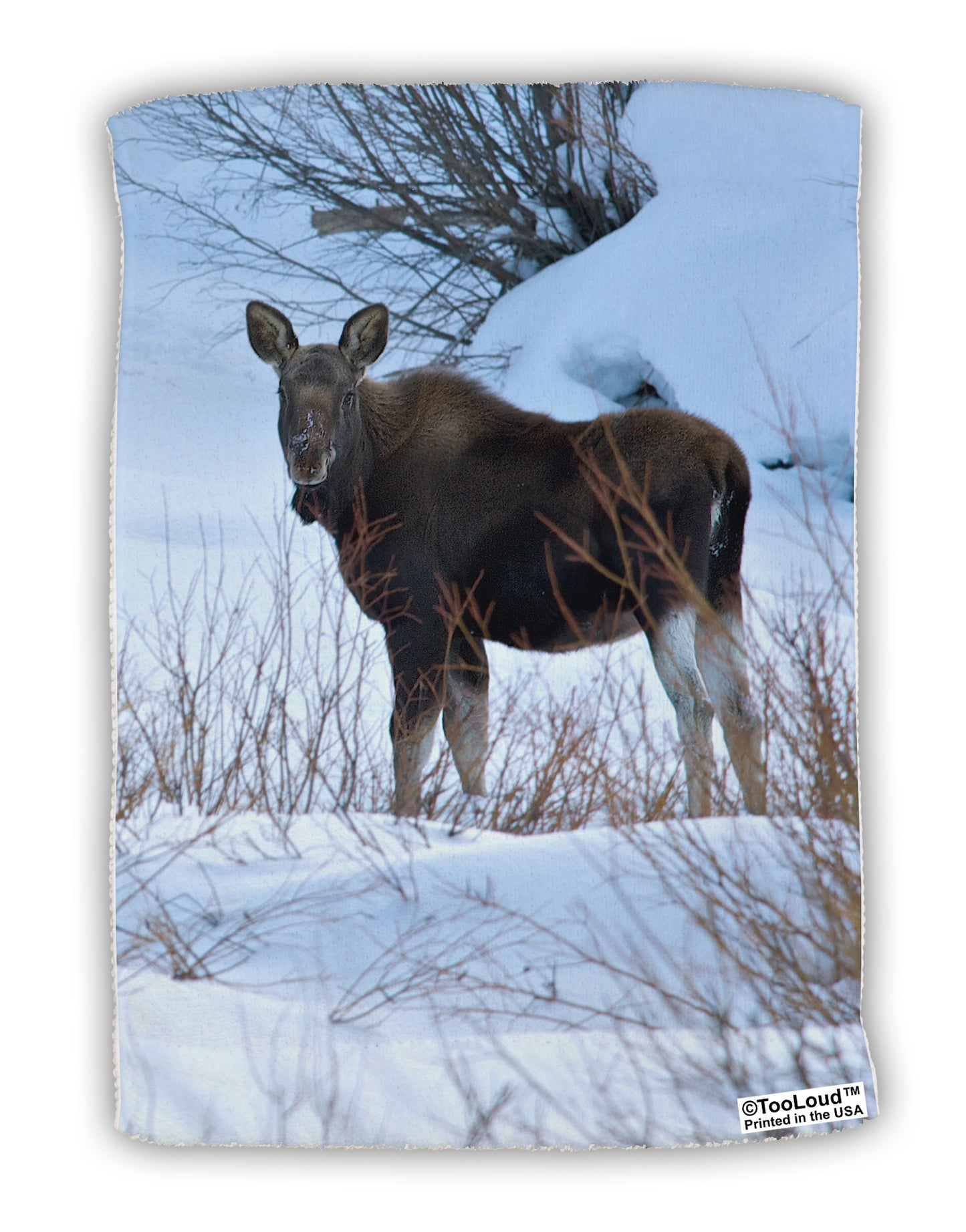 TooLoud Winter Scene All-Over-Print Micro Terry Sport Towel 11 X 18 inches All Over Print-TooLoud-White-Davson Sales