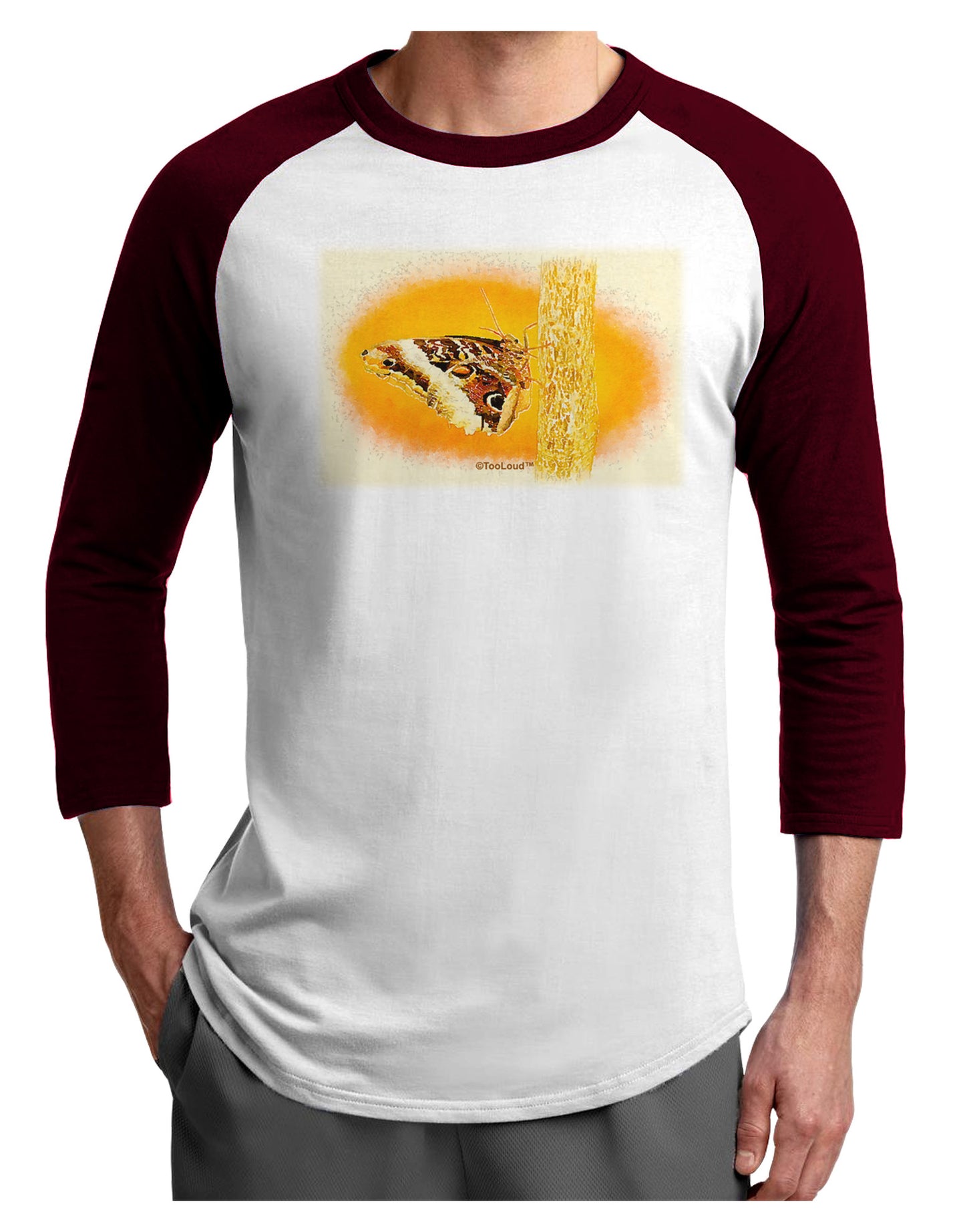 Watercolor Owl Moth Adult Raglan Shirt-TooLoud-White-Cardinal-X-Small-Davson Sales