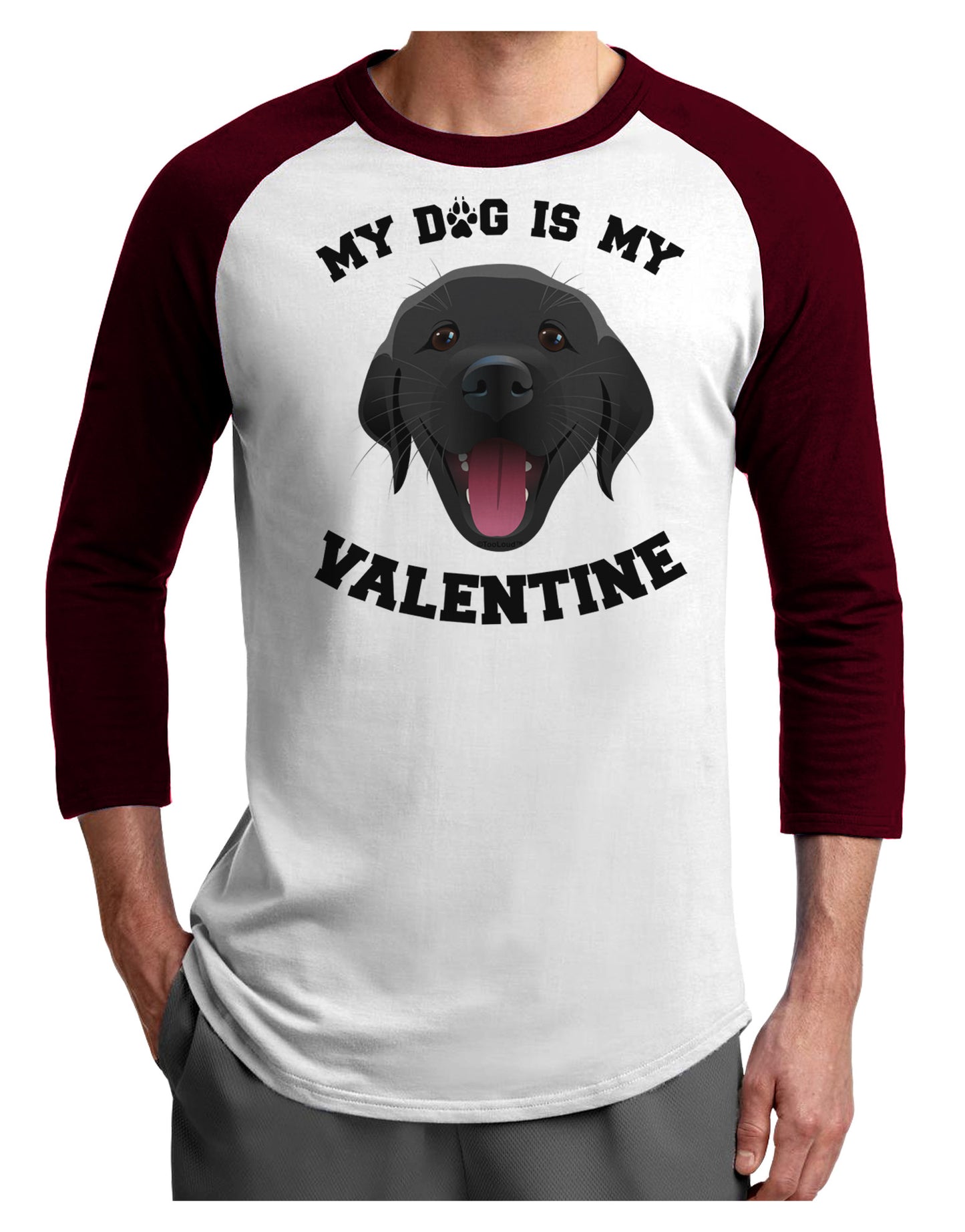 My Dog is my Valentine Black Adult Raglan Shirt-TooLoud-White-Cardinal-X-Small-Davson Sales