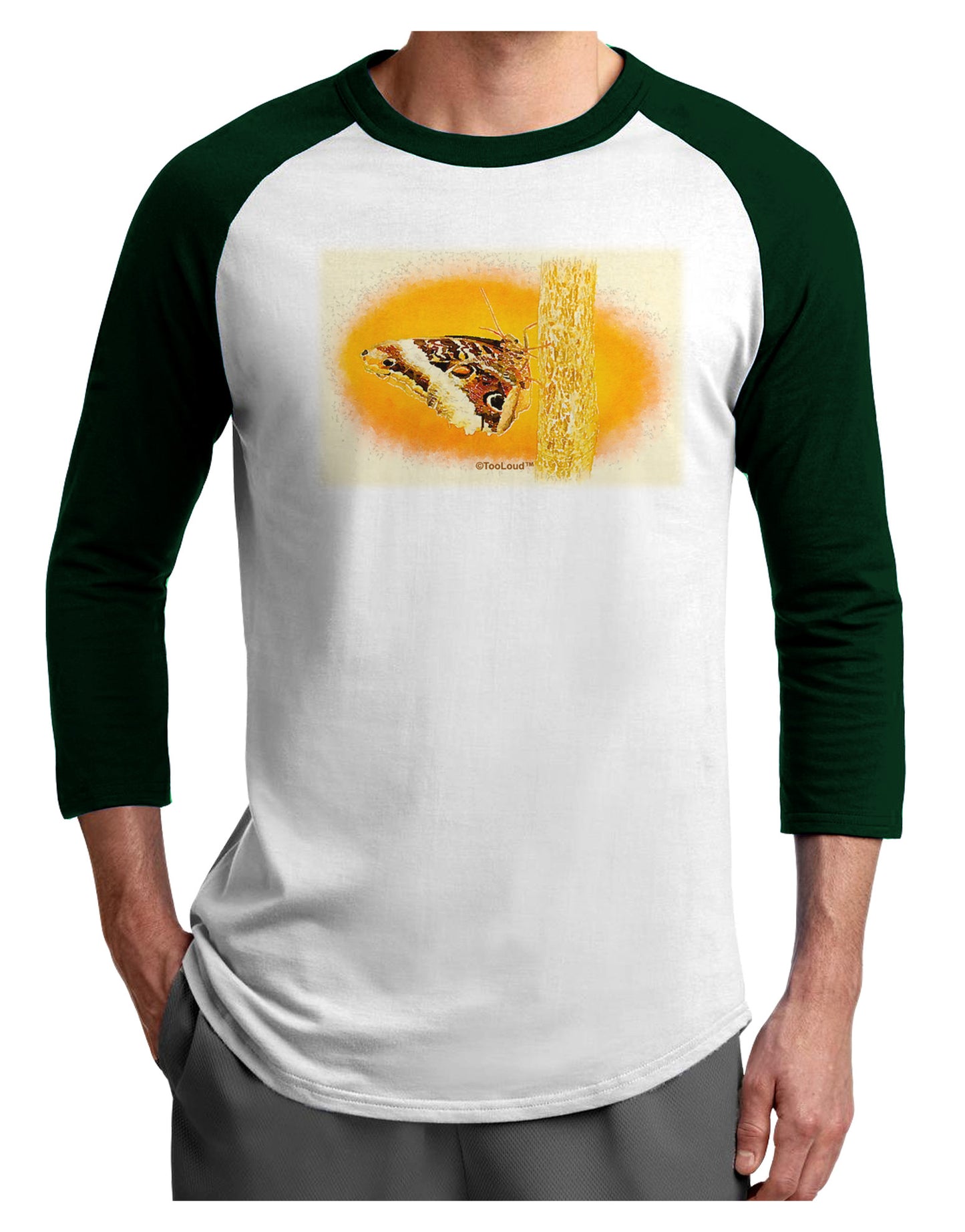 Watercolor Owl Moth Adult Raglan Shirt-TooLoud-White-Forest-X-Small-Davson Sales