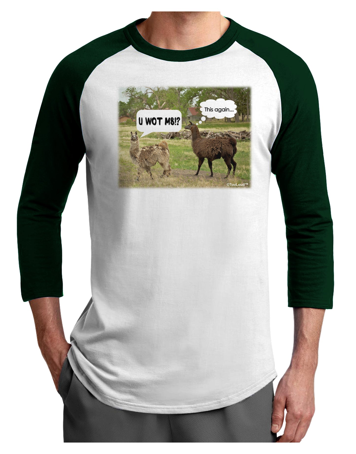 Angry Standing Llamas Adult Raglan Shirt by TooLoud-TooLoud-White-Forest-X-Small-Davson Sales