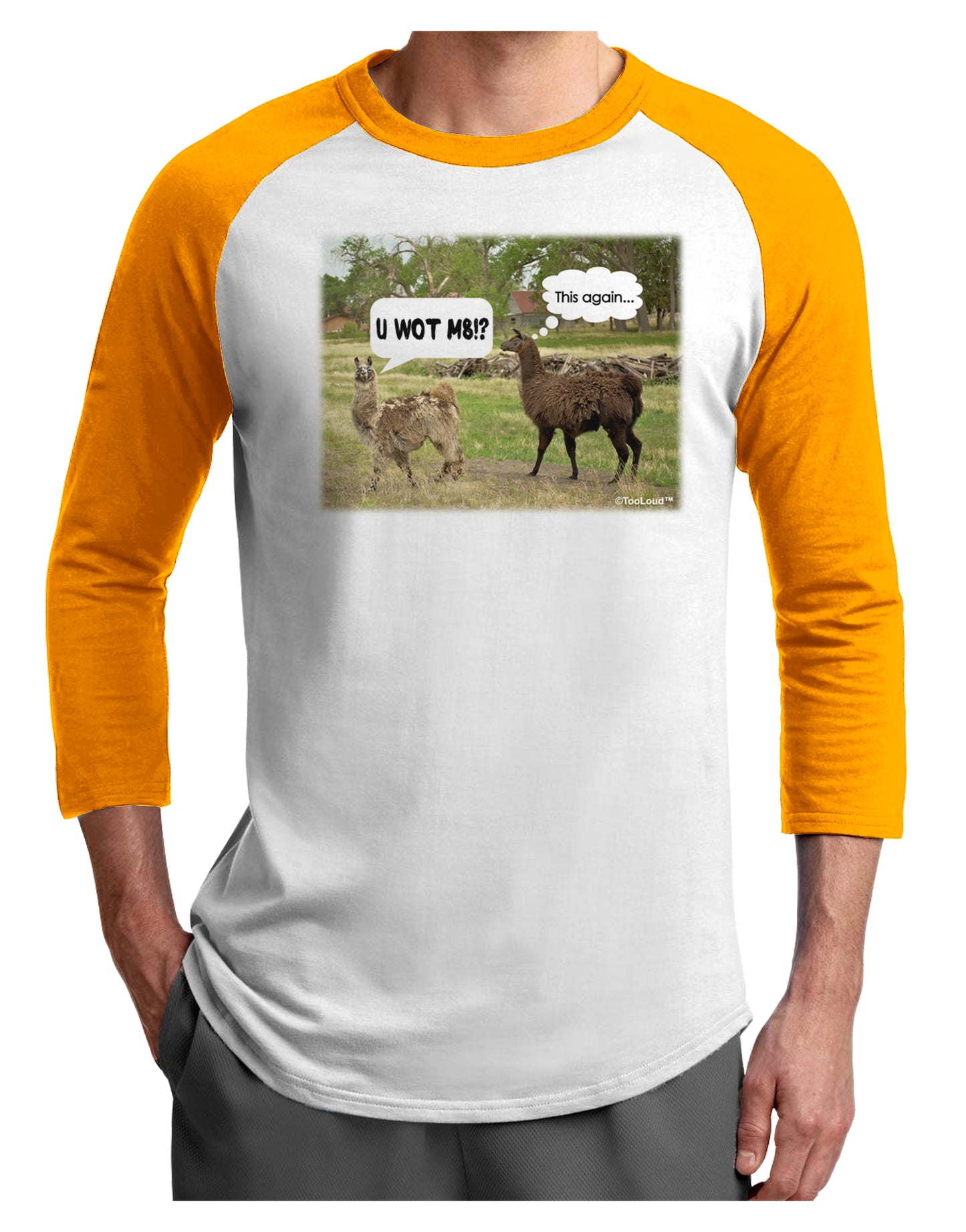 Angry Standing Llamas Adult Raglan Shirt by TooLoud-TooLoud-White-Gold-X-Small-Davson Sales