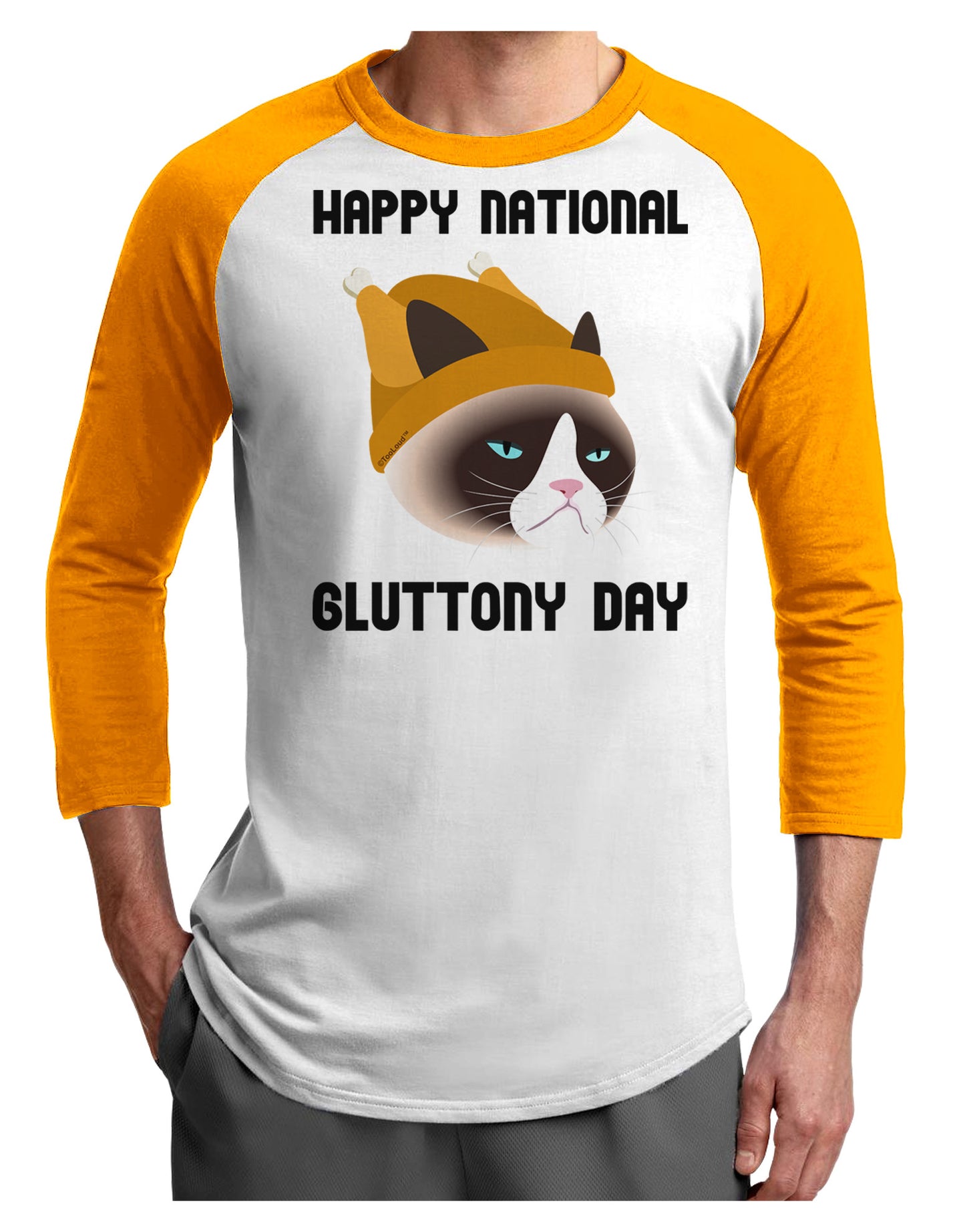 Gluttony Day Disgruntled Cat Adult Raglan Shirt by-Raglan Shirt-TooLoud-White-Gold-X-Small-Davson Sales