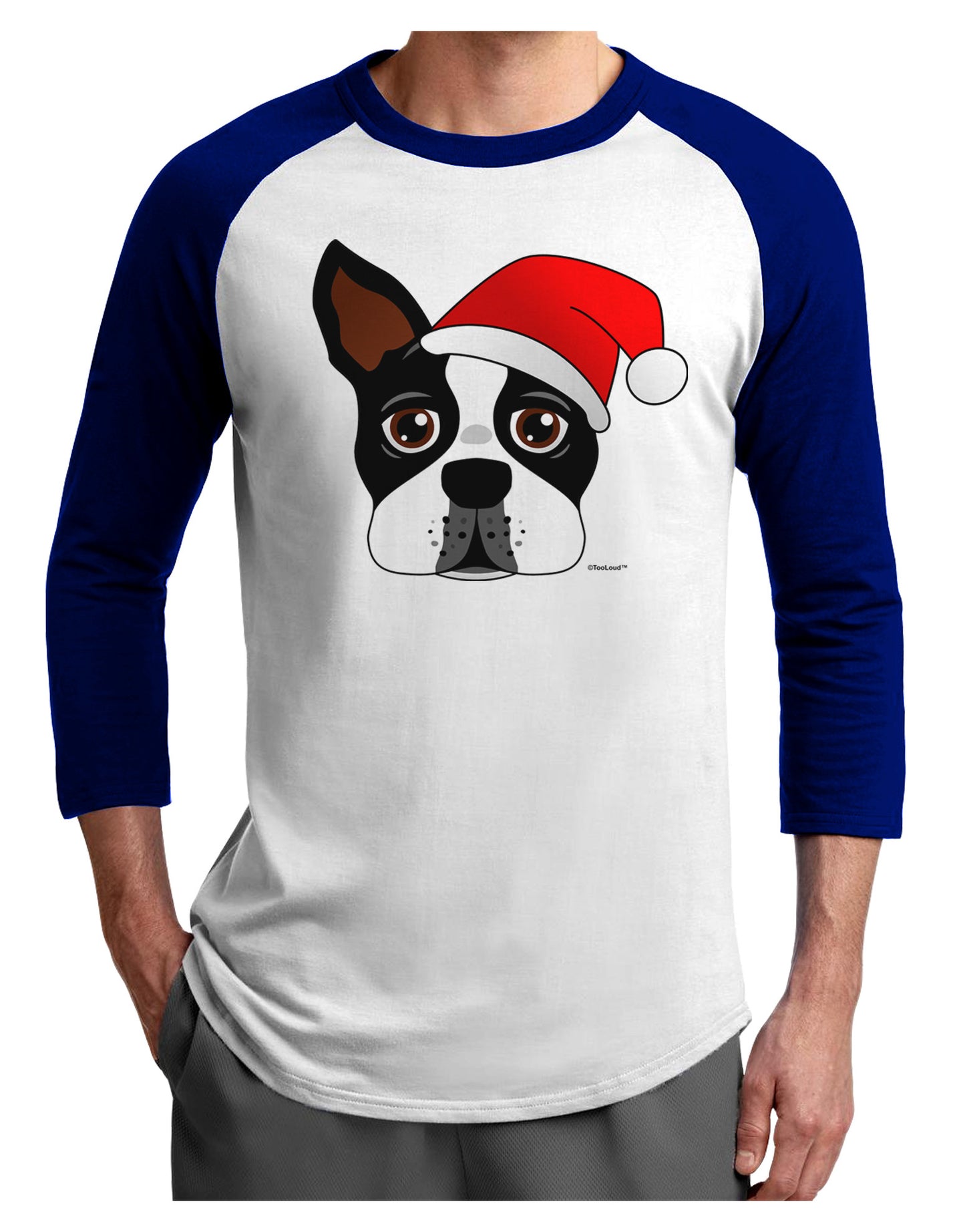 Cute Dog with Santa Hat - Christmas Adult Raglan Shirt-TooLoud-White-Royal-X-Small-Davson Sales