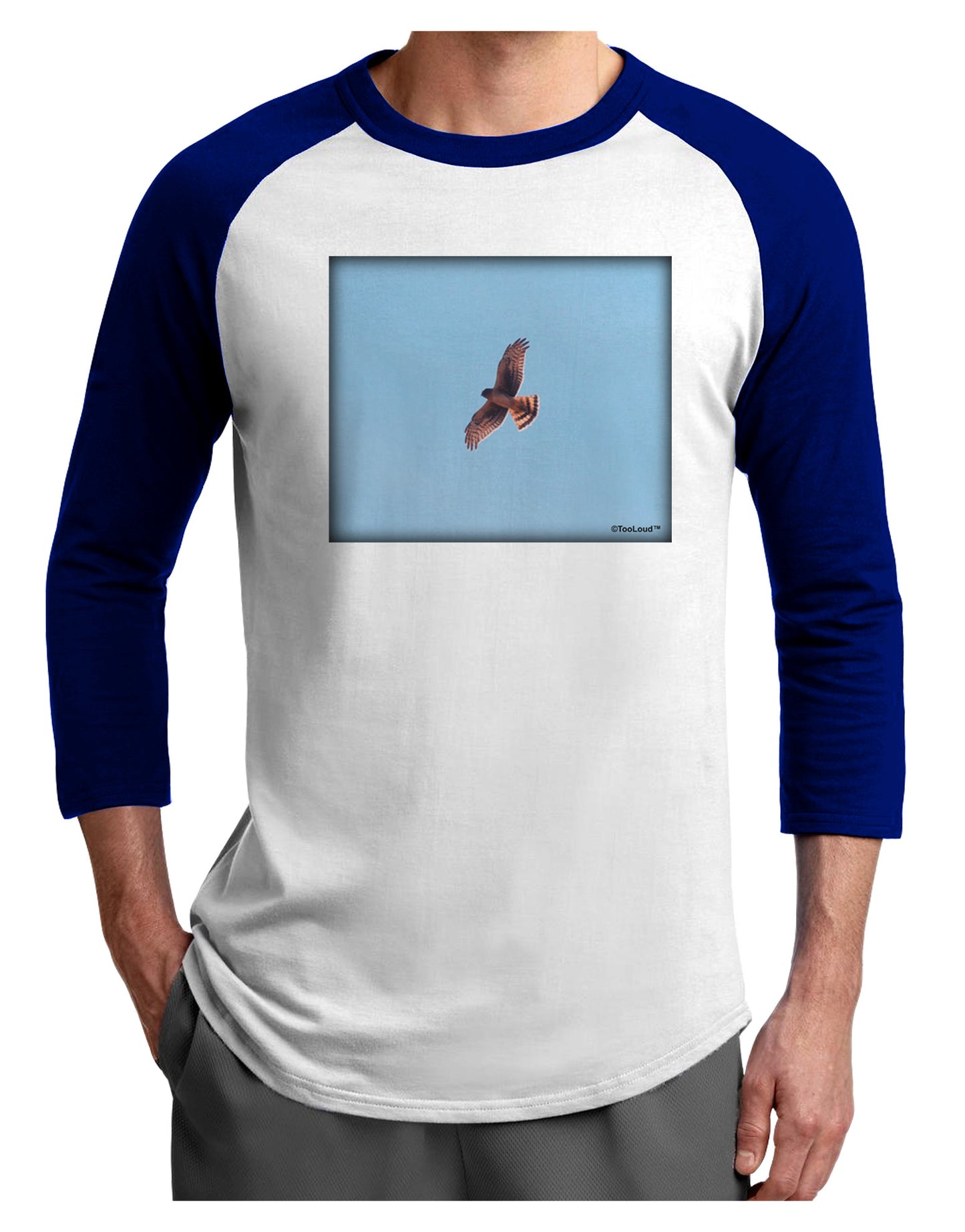 Soaring Peregrine Adult Raglan Shirt-Raglan Shirt-TooLoud-White-Royal-X-Small-Davson Sales