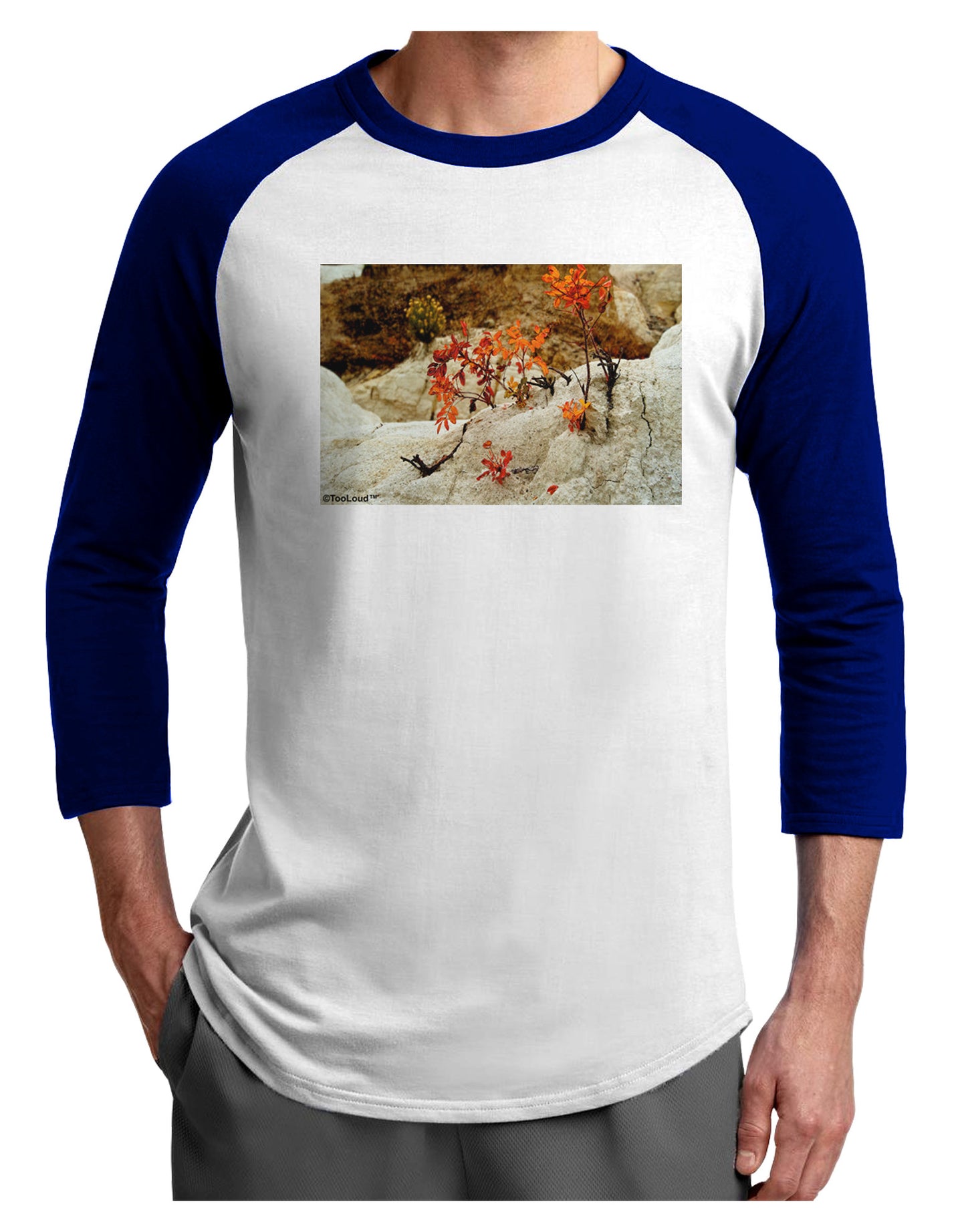 CO Painted Mines Adult Raglan Shirt-Raglan Shirt-TooLoud-White-Royal-X-Small-Davson Sales