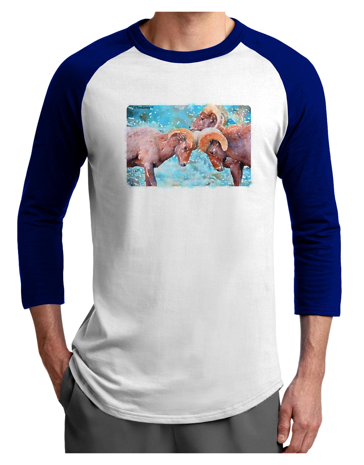 CO Bighorn Head Butt Watercolor Adult Raglan Shirt-TooLoud-White-Royal-X-Small-Davson Sales