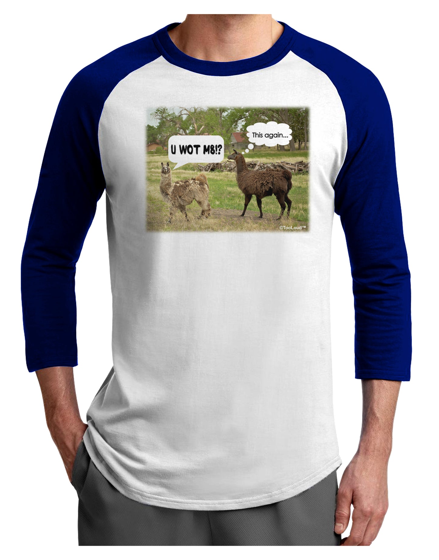Angry Standing Llamas Adult Raglan Shirt by TooLoud-TooLoud-White-Royal-X-Small-Davson Sales