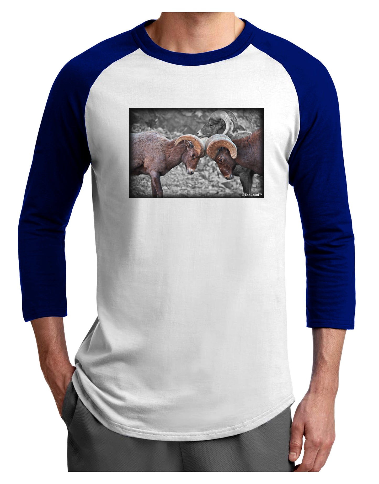 CO Bighorn Head Butt Desaturated Adult Raglan Shirt-TooLoud-White-Royal-X-Small-Davson Sales