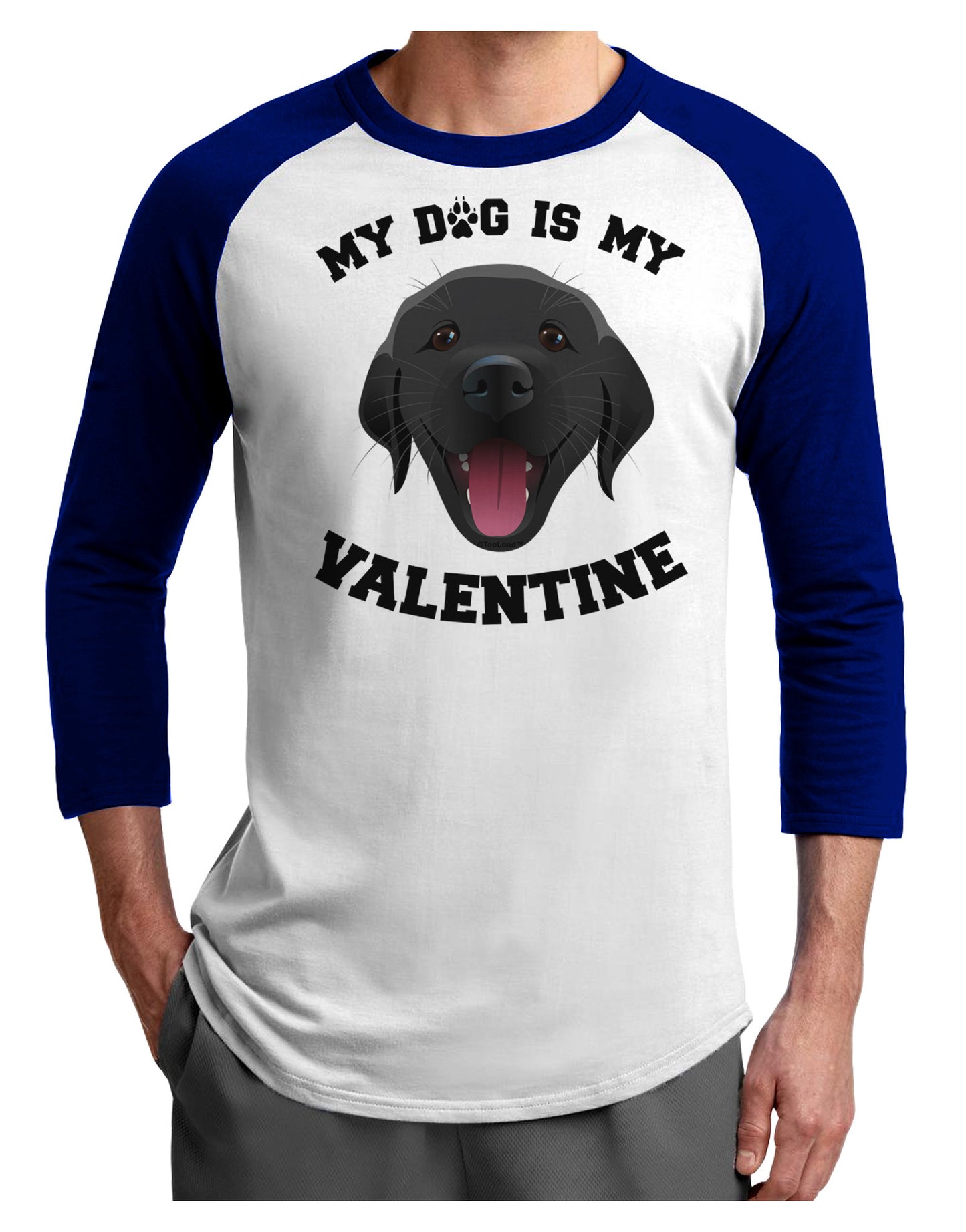 My Dog is my Valentine Black Adult Raglan Shirt-TooLoud-White-Royal-X-Small-Davson Sales