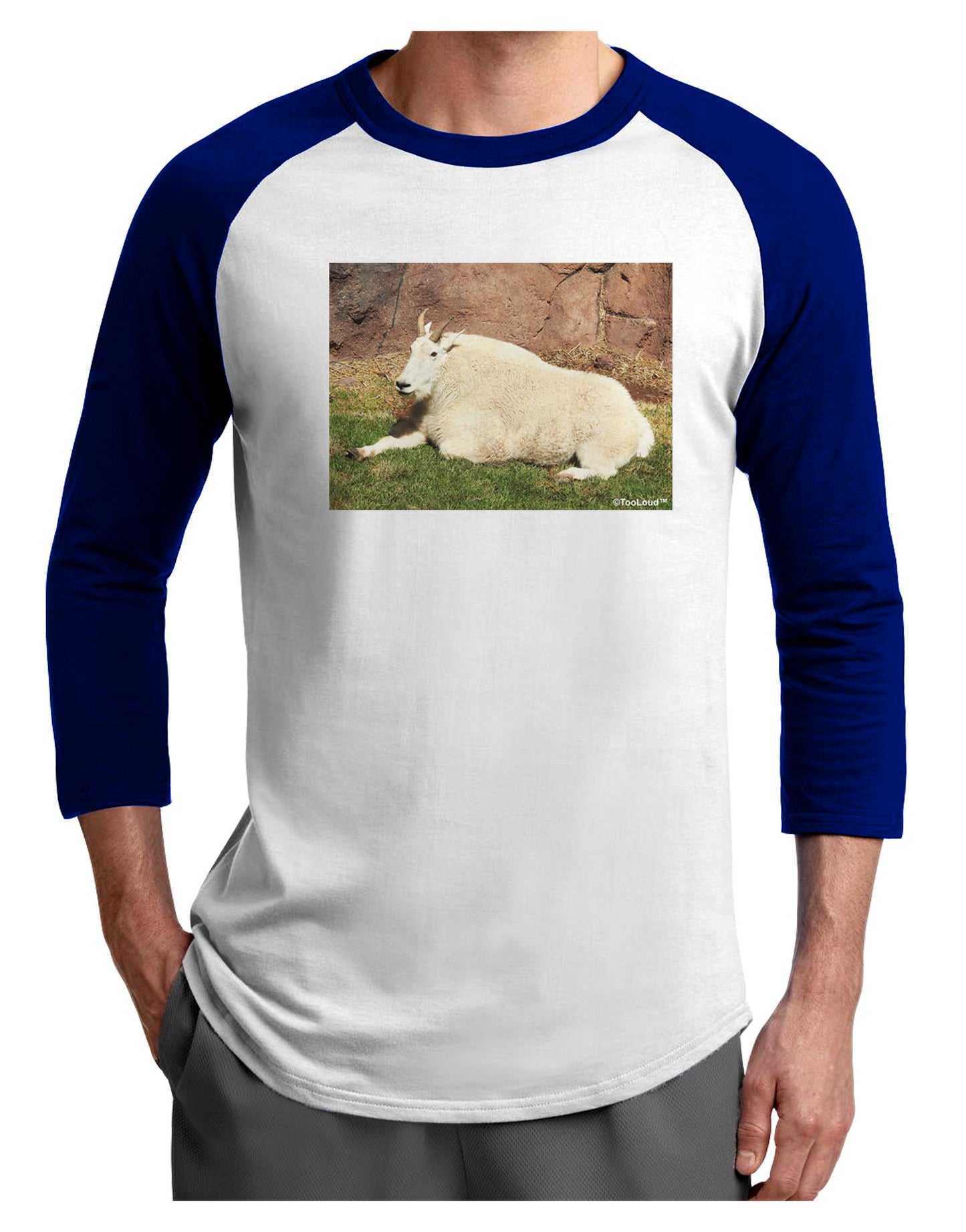 Relaxing Ram Adult Raglan Shirt-Raglan Shirt-TooLoud-White-Royal-X-Small-Davson Sales