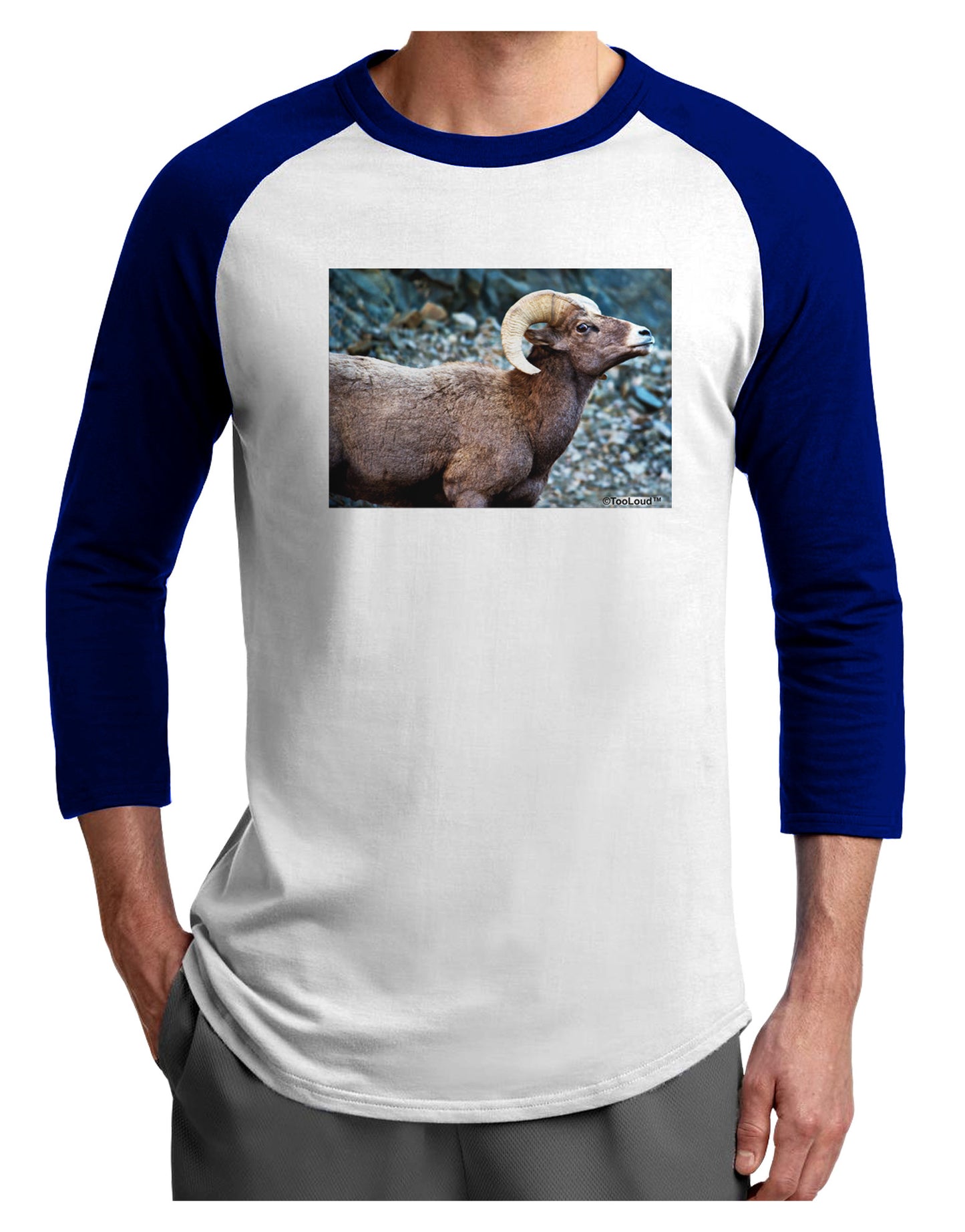 TooLoud Wide Eyed Big Horn Adult Raglan Shirt-Raglan Shirt-TooLoud-White-Royal-X-Small-Davson Sales