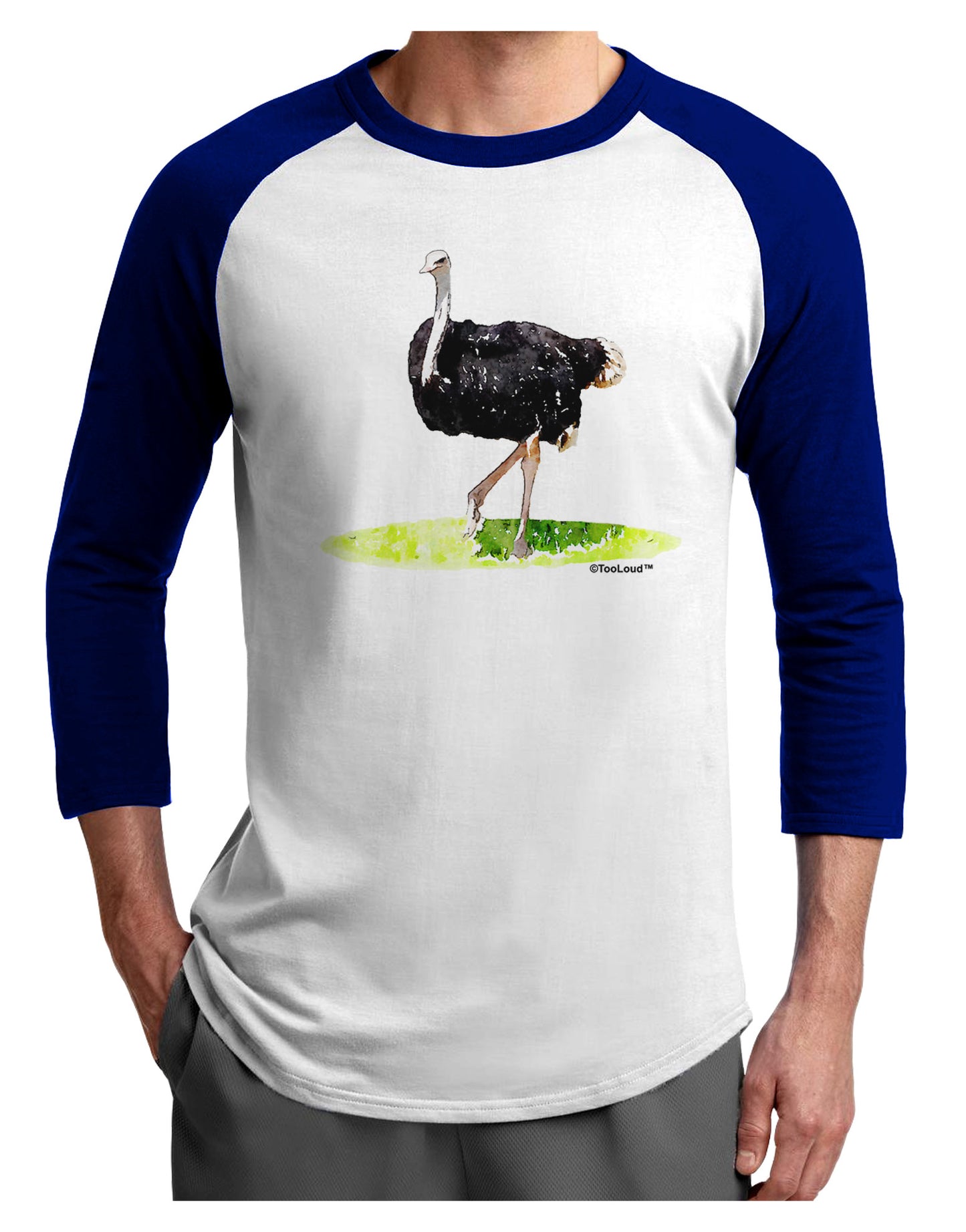 Ostrich Watercolor Adult Raglan Shirt-TooLoud-White-Royal-X-Small-Davson Sales