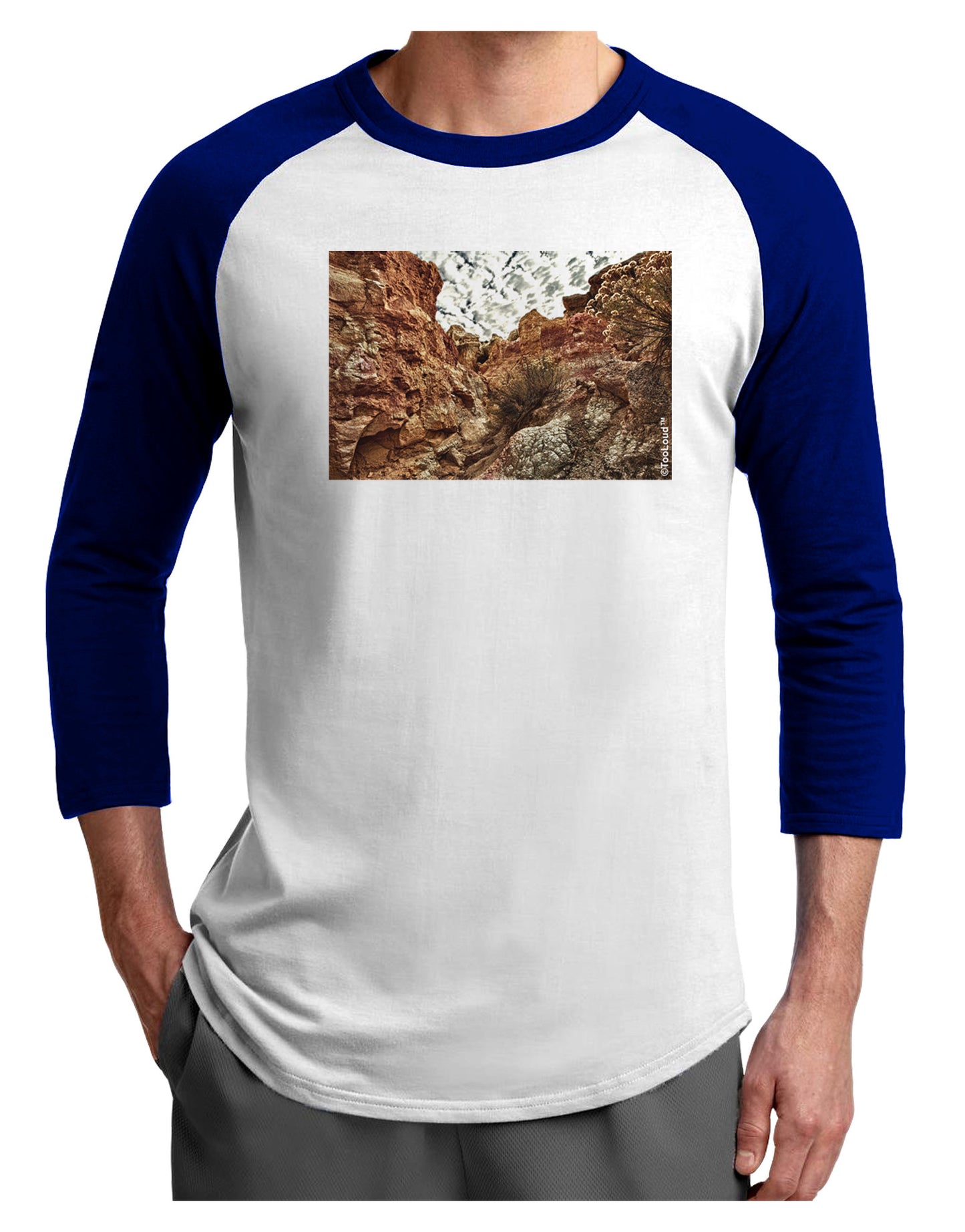 Colorado Painted Rocks Adult Raglan Shirt-Raglan Shirt-TooLoud-White-Royal-X-Small-Davson Sales