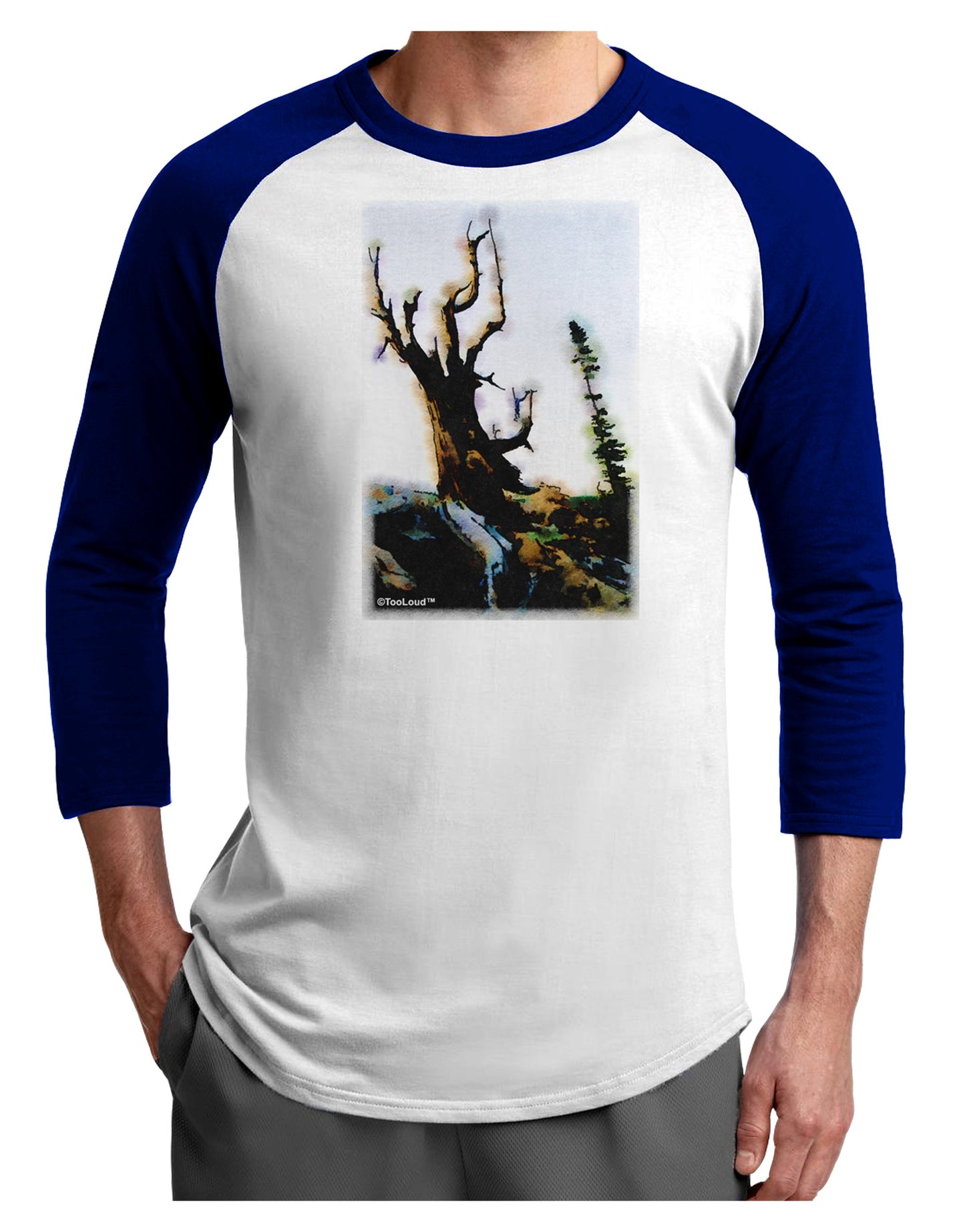 CO Mountain Scenery Watercolor Adult Raglan Shirt-TooLoud-White-Royal-X-Small-Davson Sales