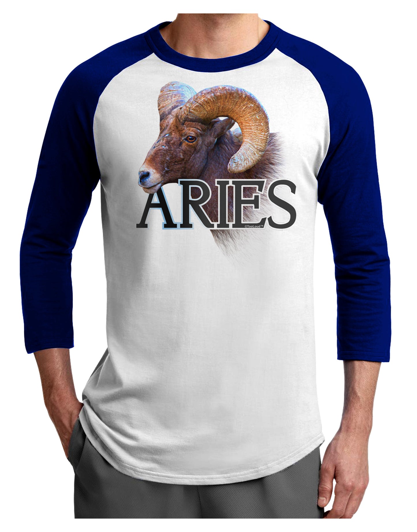 Majestic Aries Picture Adult Raglan Shirt-Raglan Shirt-TooLoud-White-Royal-X-Small-Davson Sales