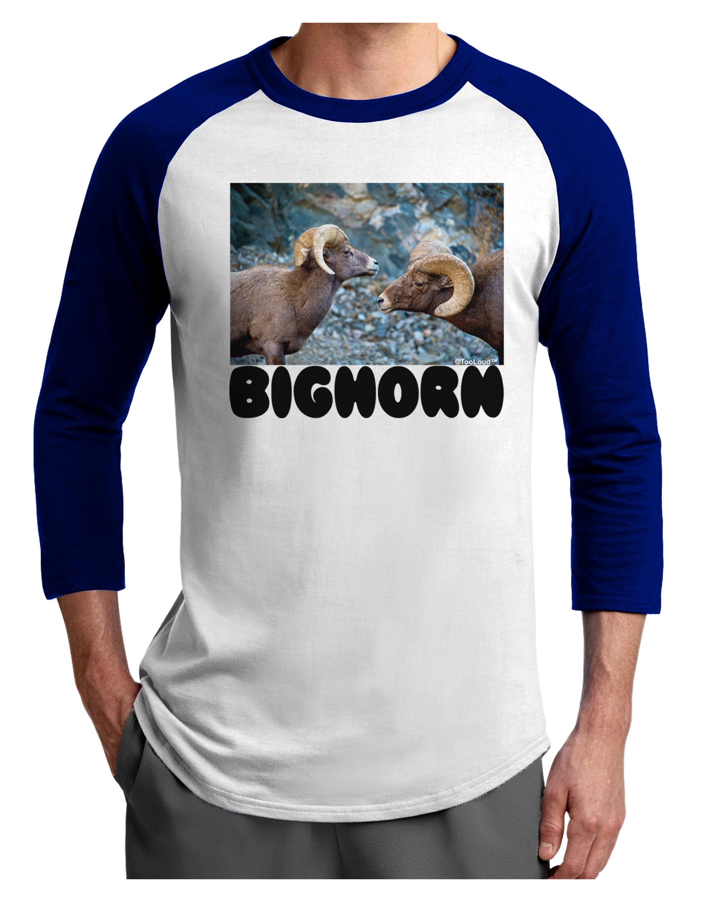 Two Bighorn Rams Text Adult Raglan Shirt-TooLoud-White-Royal-X-Small-Davson Sales
