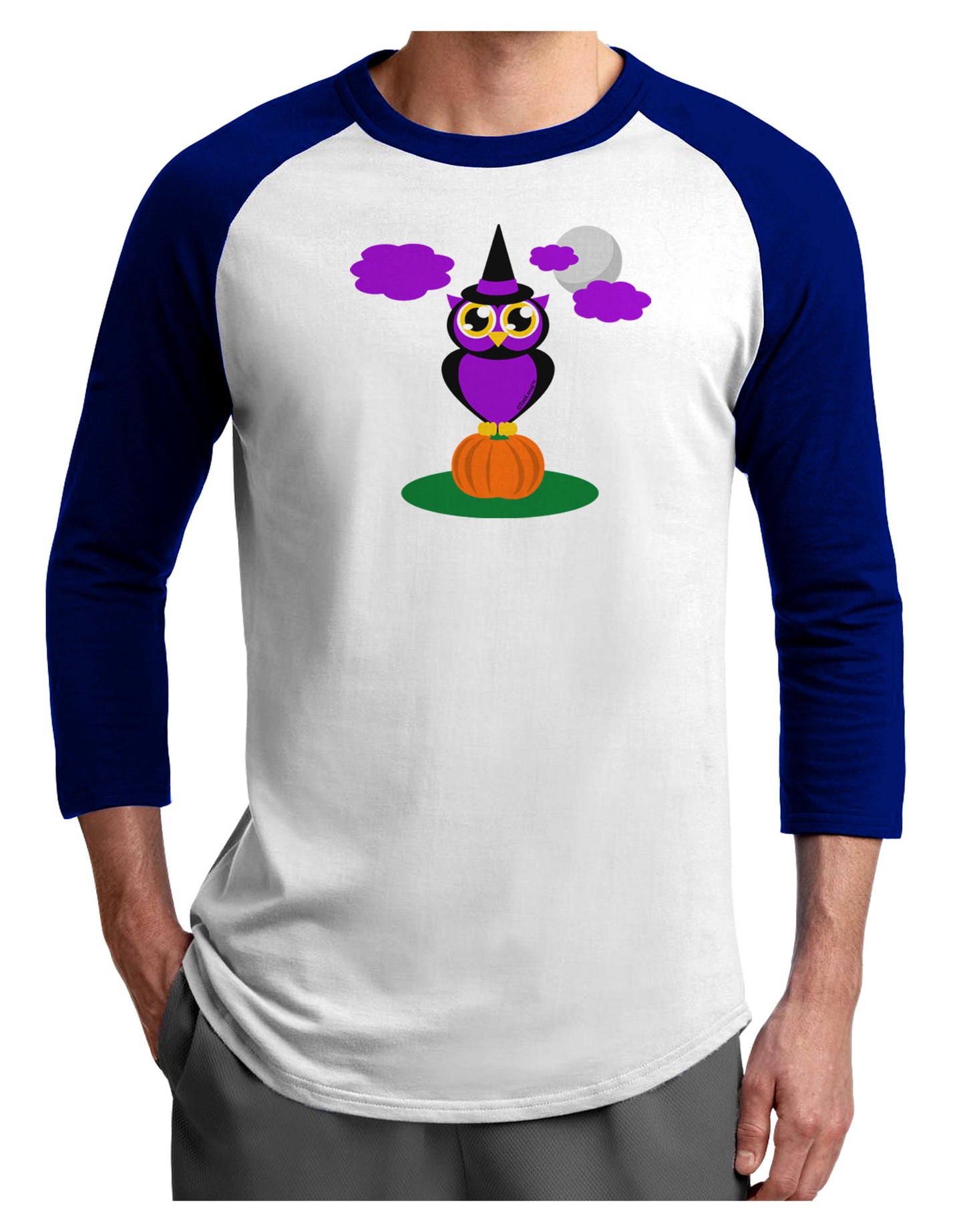Owl Purple Adult Raglan Shirt-Raglan Shirt-TooLoud-White-Royal-X-Small-Davson Sales
