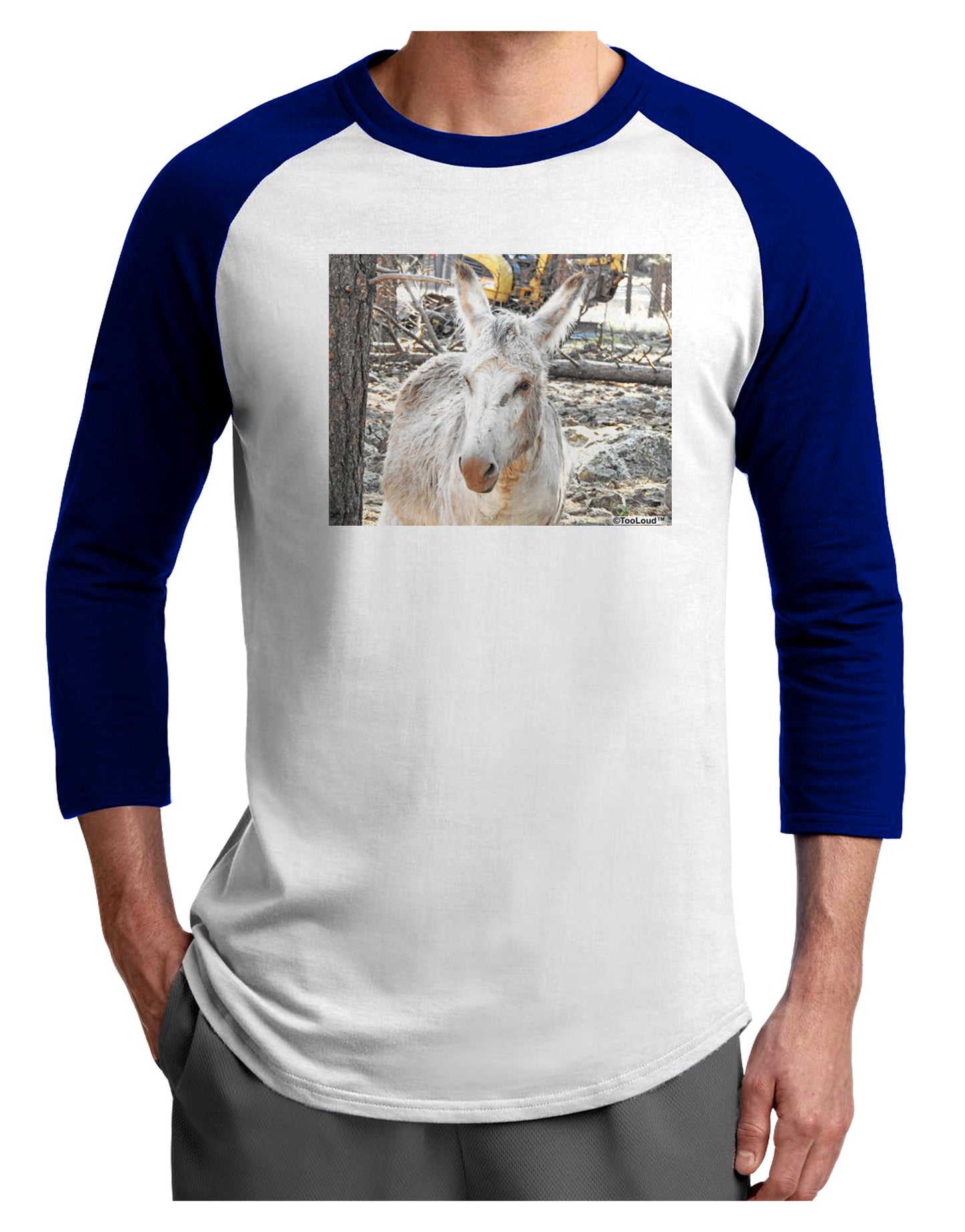 Troubled Burro Adult Raglan Shirt-Raglan Shirt-TooLoud-White-Royal-X-Small-Davson Sales