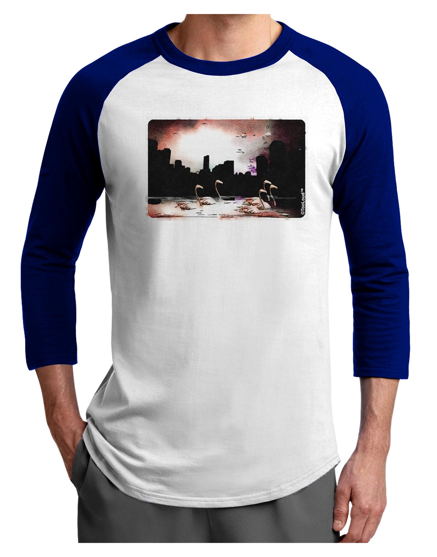 Nighttime Flamingos Adult Raglan Shirt-TooLoud-White-Royal-X-Small-Davson Sales