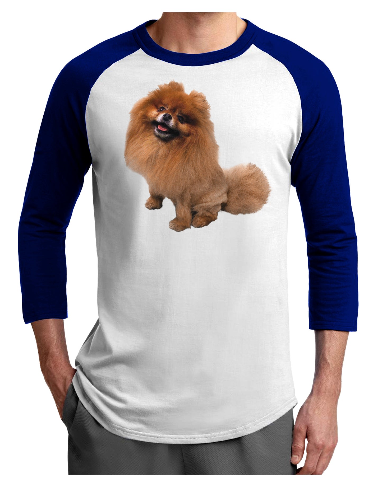 Pomeranian Sitting All Cute-Like Adult Raglan Shirt-Raglan Shirt-TooLoud-White-Royal-X-Small-Davson Sales