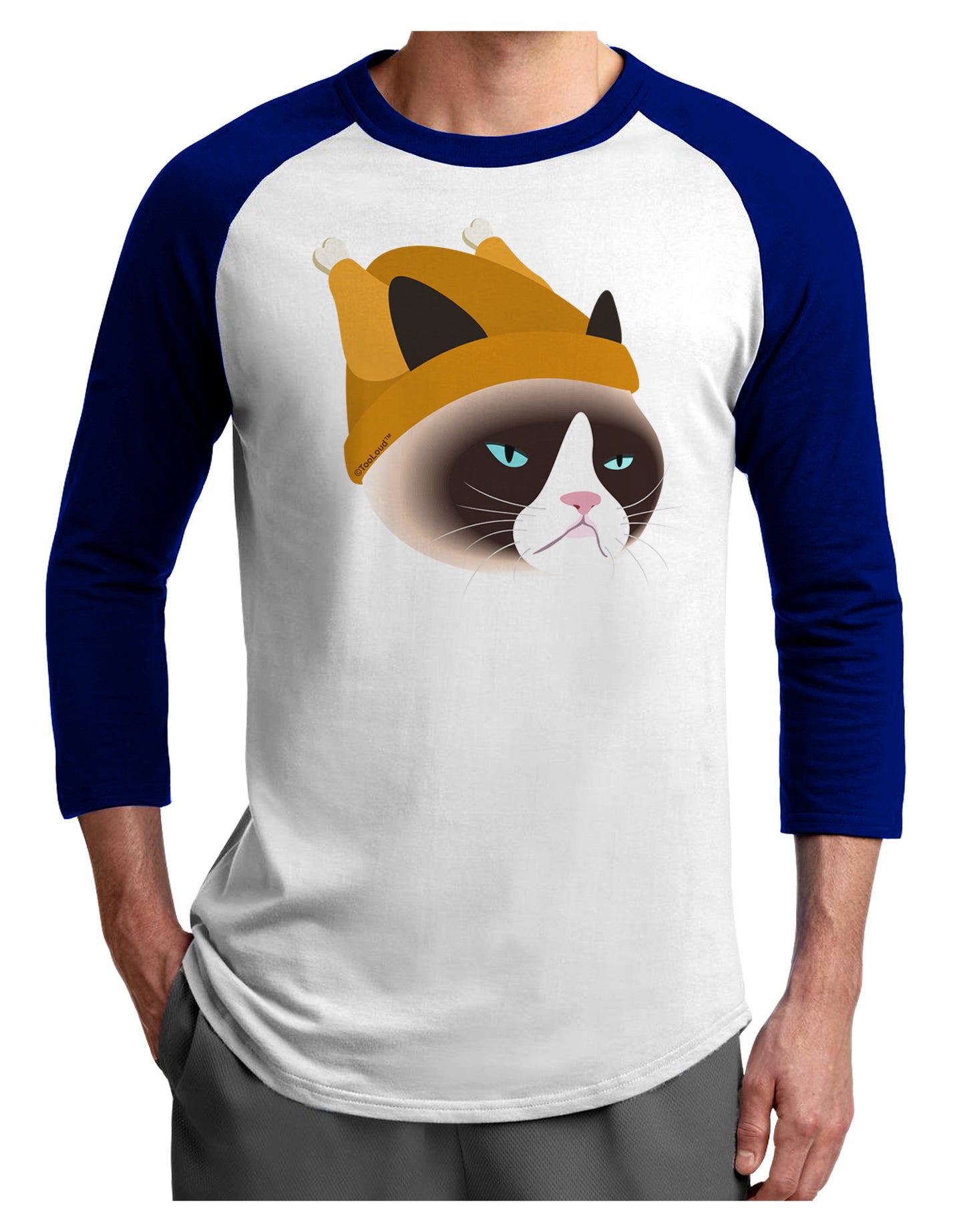 Disgruntled Cat Wearing Turkey Hat Adult Raglan Shirt by-Raglan Shirt-TooLoud-White-Royal-X-Small-Davson Sales