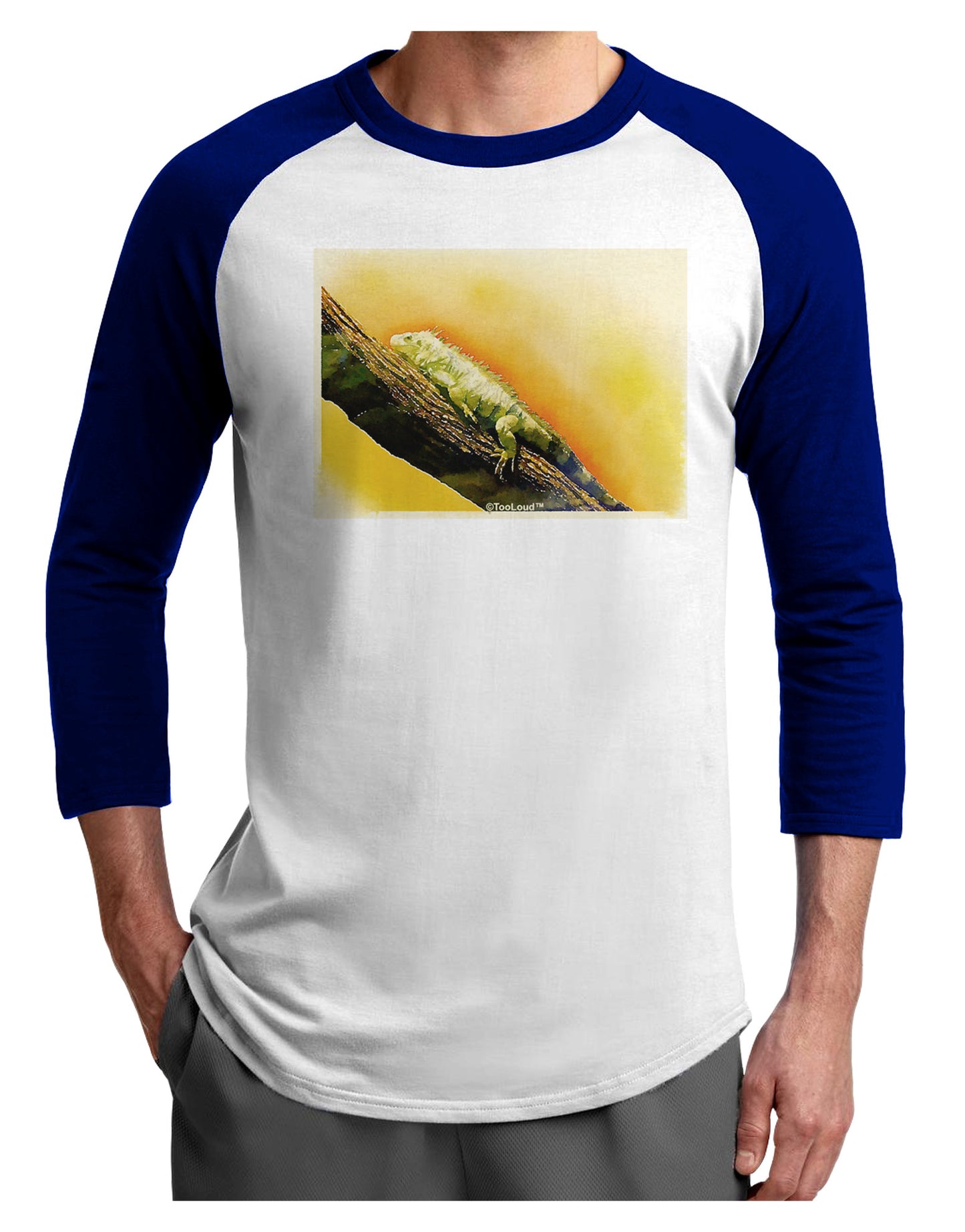 Iguana Watercolor Adult Raglan Shirt-TooLoud-White-Royal-X-Small-Davson Sales