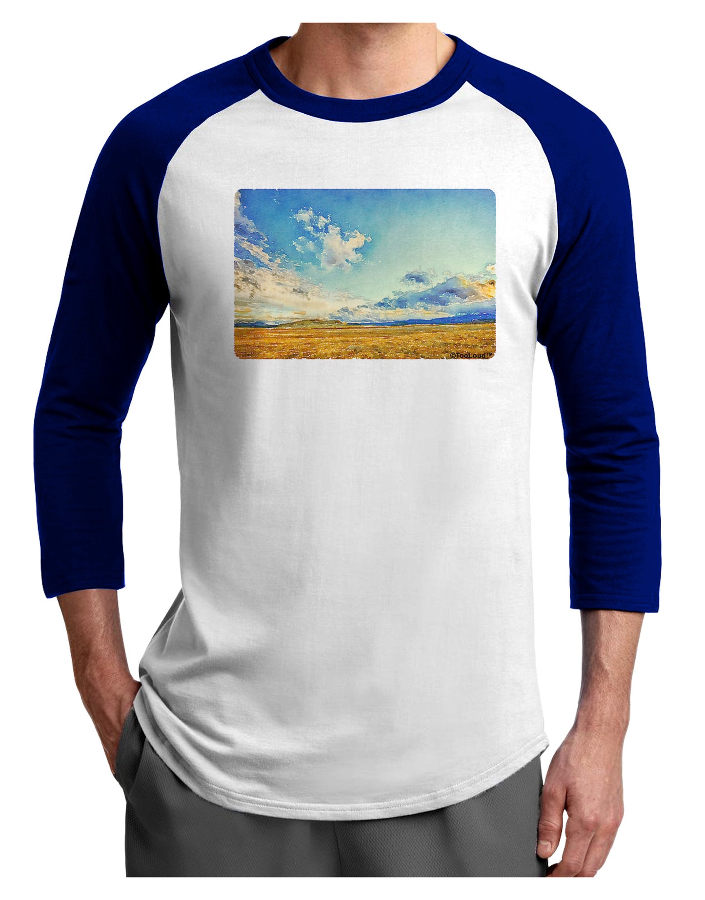 Garden of the Gods Watercolor Adult Raglan Shirt-TooLoud-White-Royal-X-Small-Davson Sales